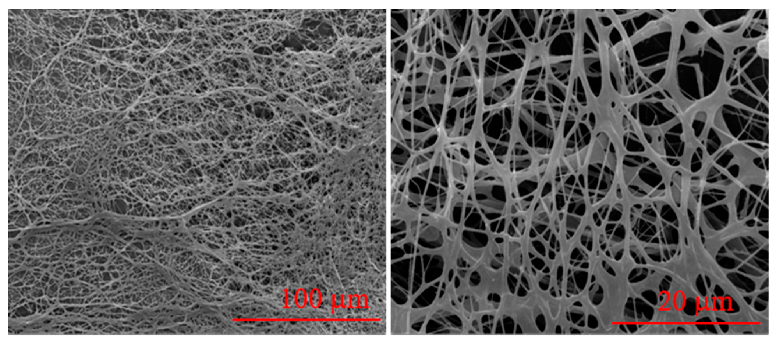 Polymers 11 00949 g004