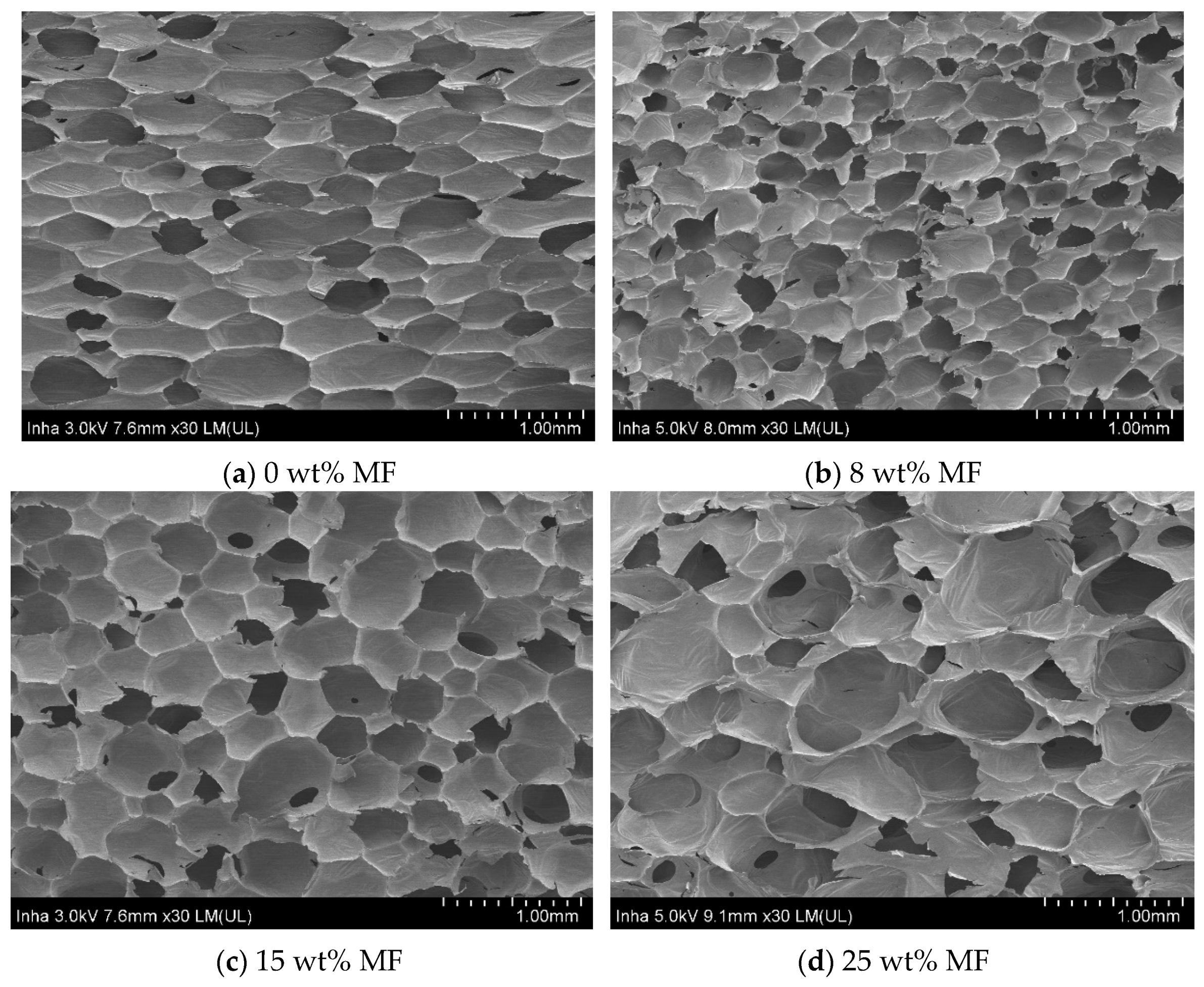 Polymers 11 00953 g006