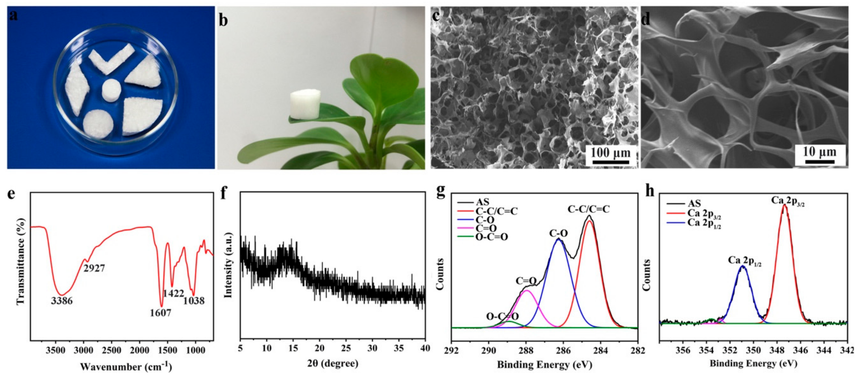 Polymers 11 00961 g001