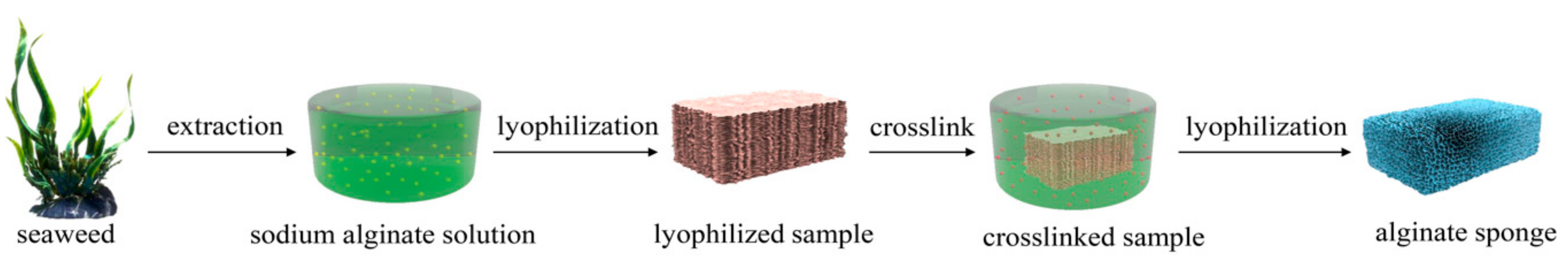 Polymers 11 00961 sch001