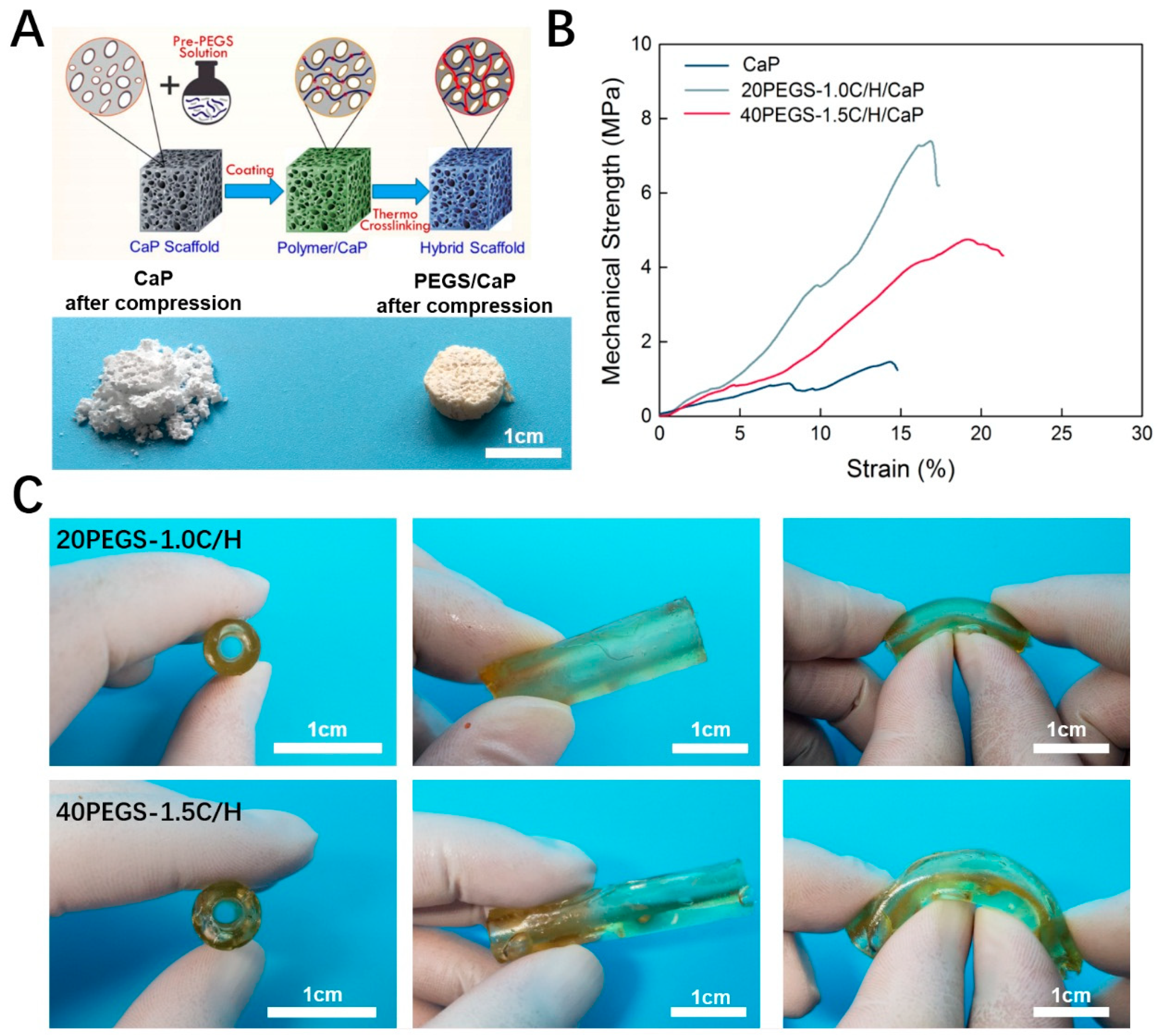 Polymers 11 00965 g006