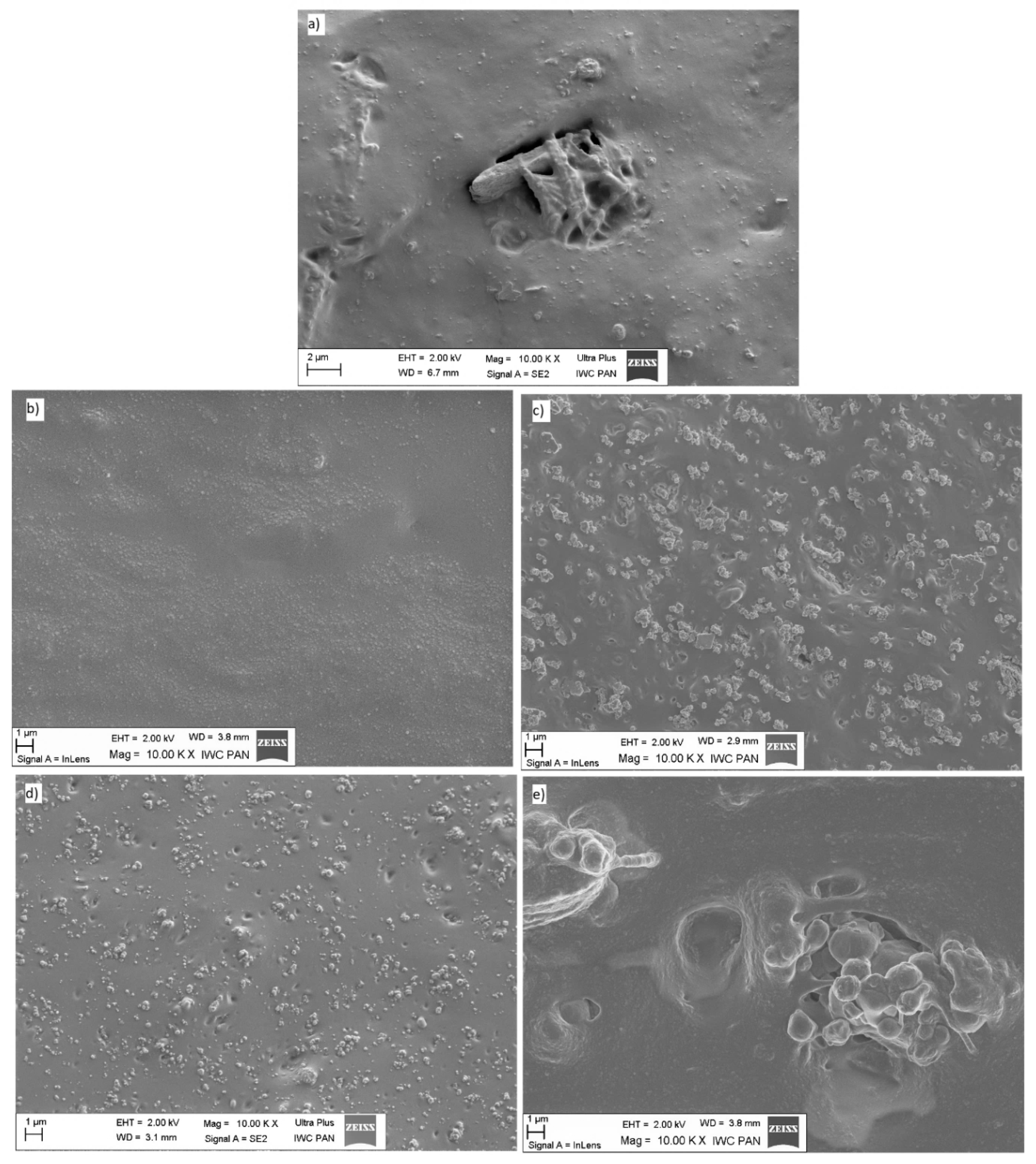 Polymers 11 00972 g003