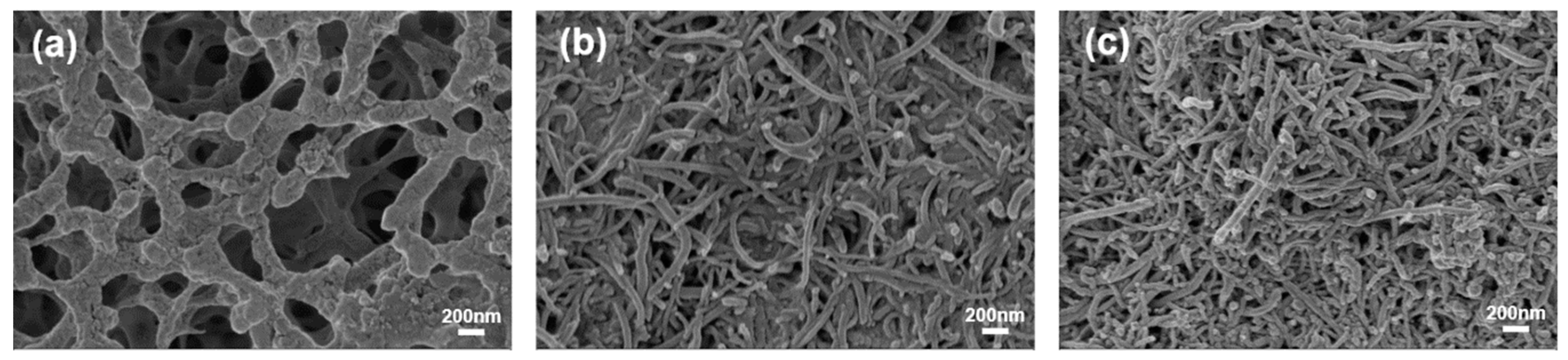 Polymers 11 00973 g002 Polymers 11 00973 g002