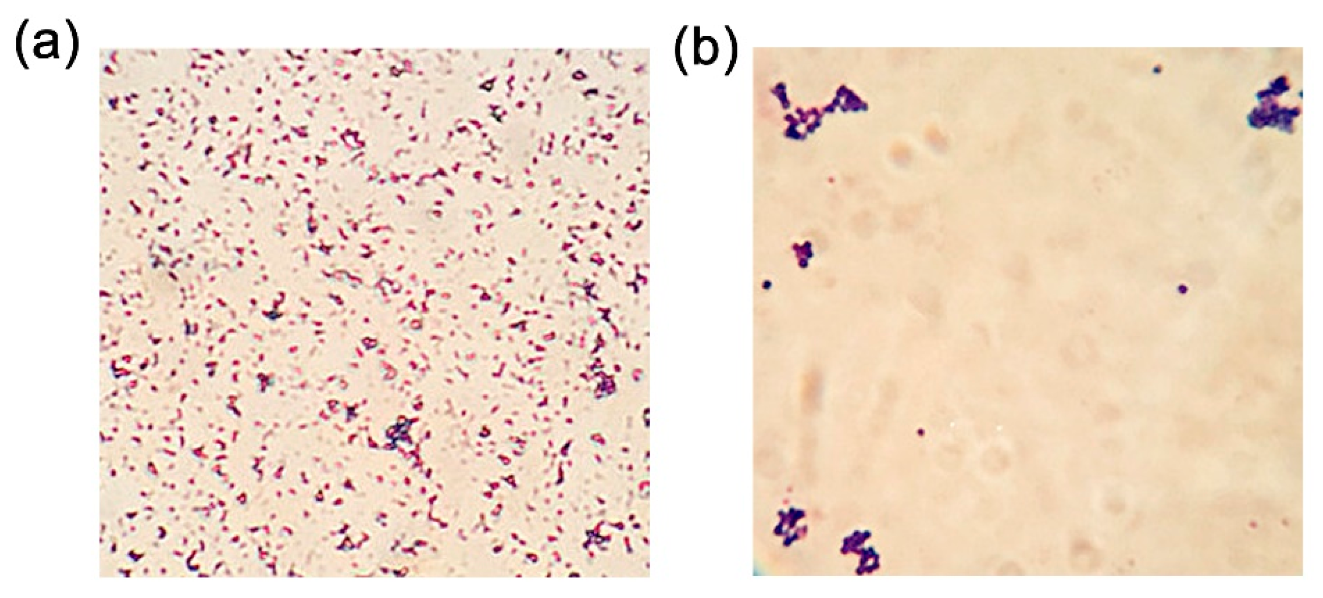 Polymers 11 00984 g006