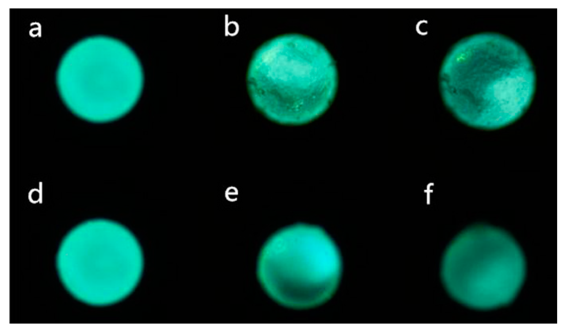 Polymers 11 00984 g008
