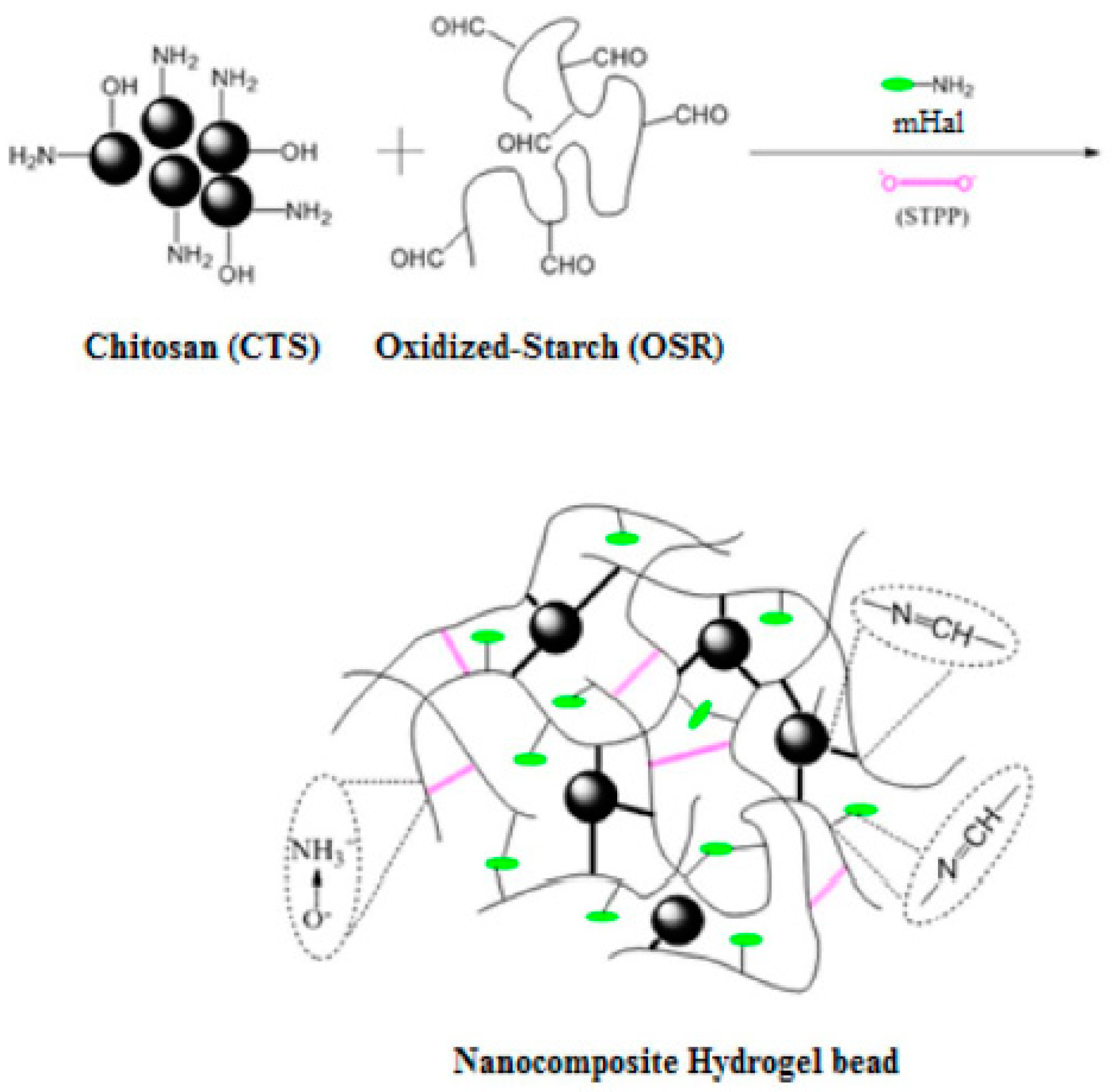 Polymers 11 00987 g003
