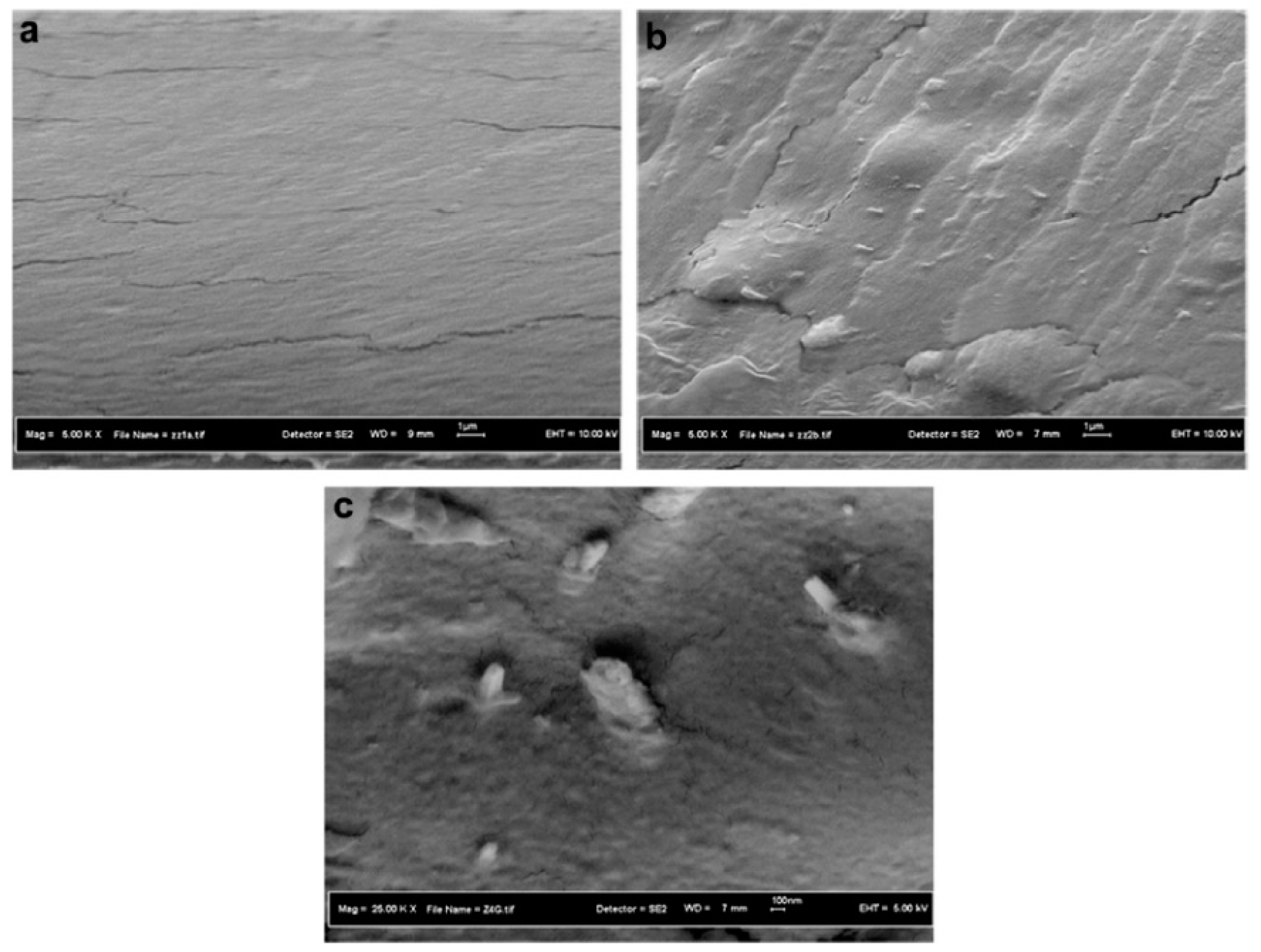 Polymers 11 00987 g004