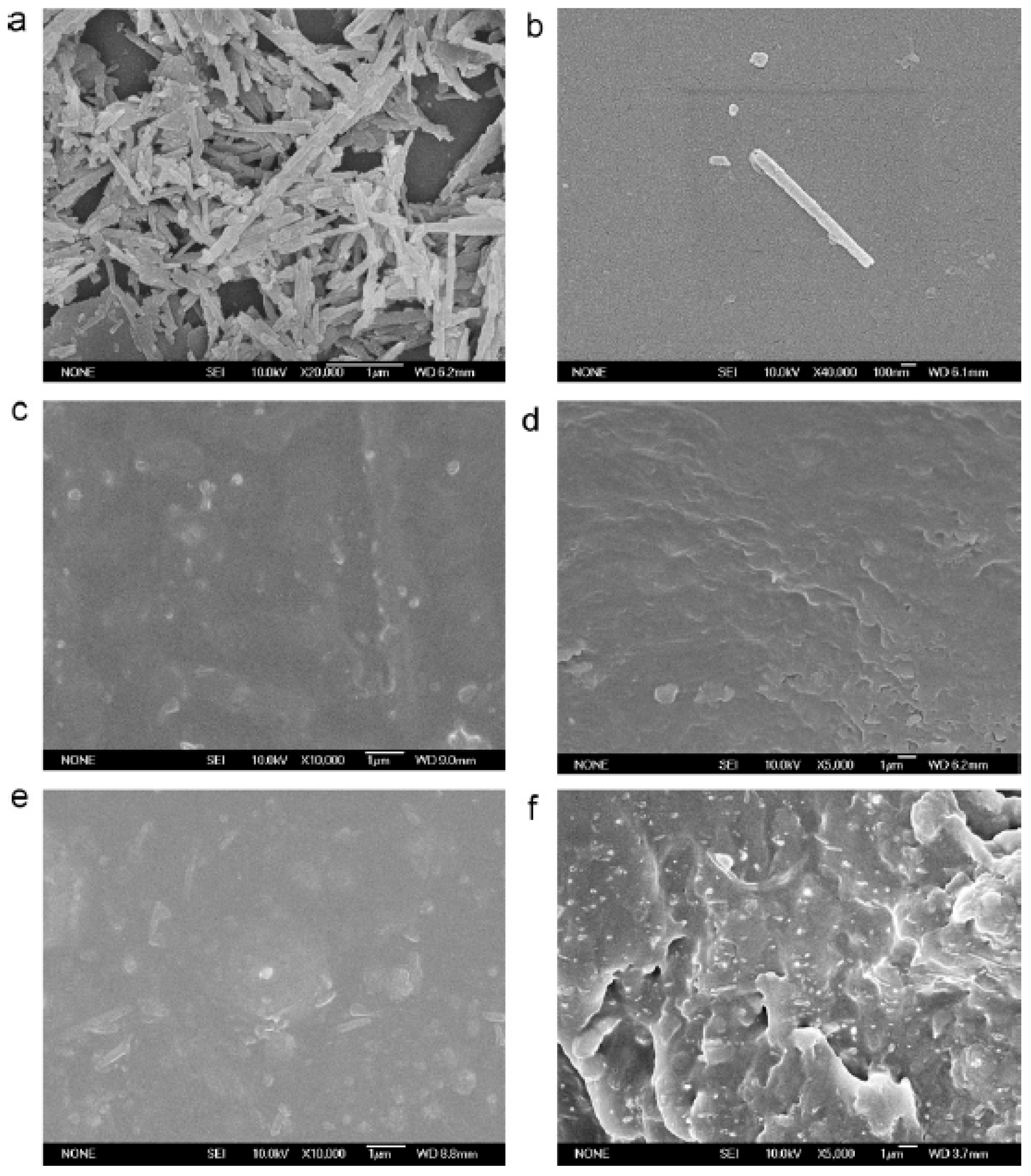 Polymers 11 00987 g005