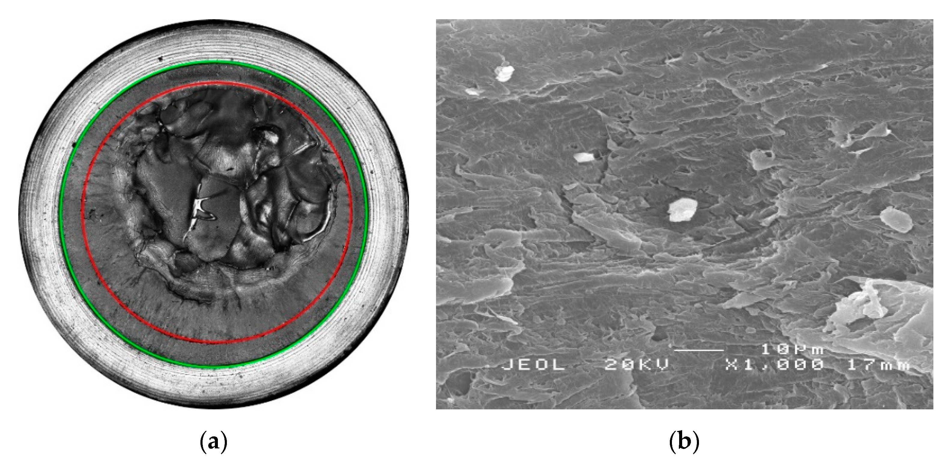 Polymers 11 00996 g009a