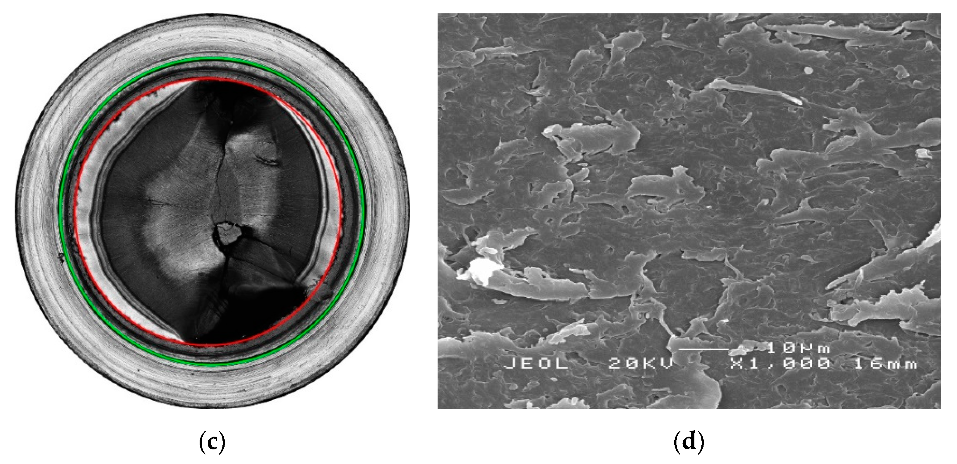 Polymers 11 00996 g009b