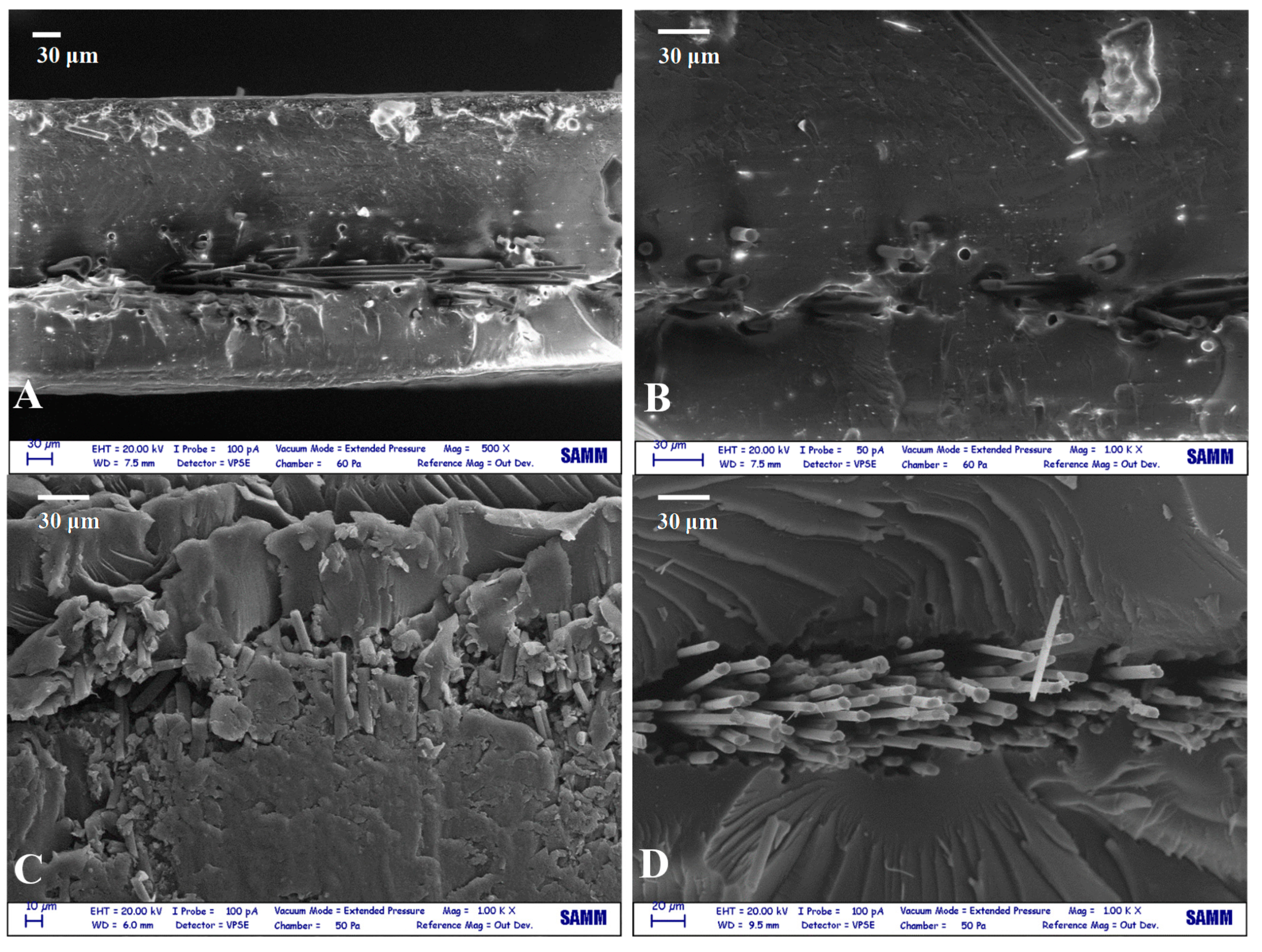 Polymers 11 01007 g004 Polymers 11 01007 g004