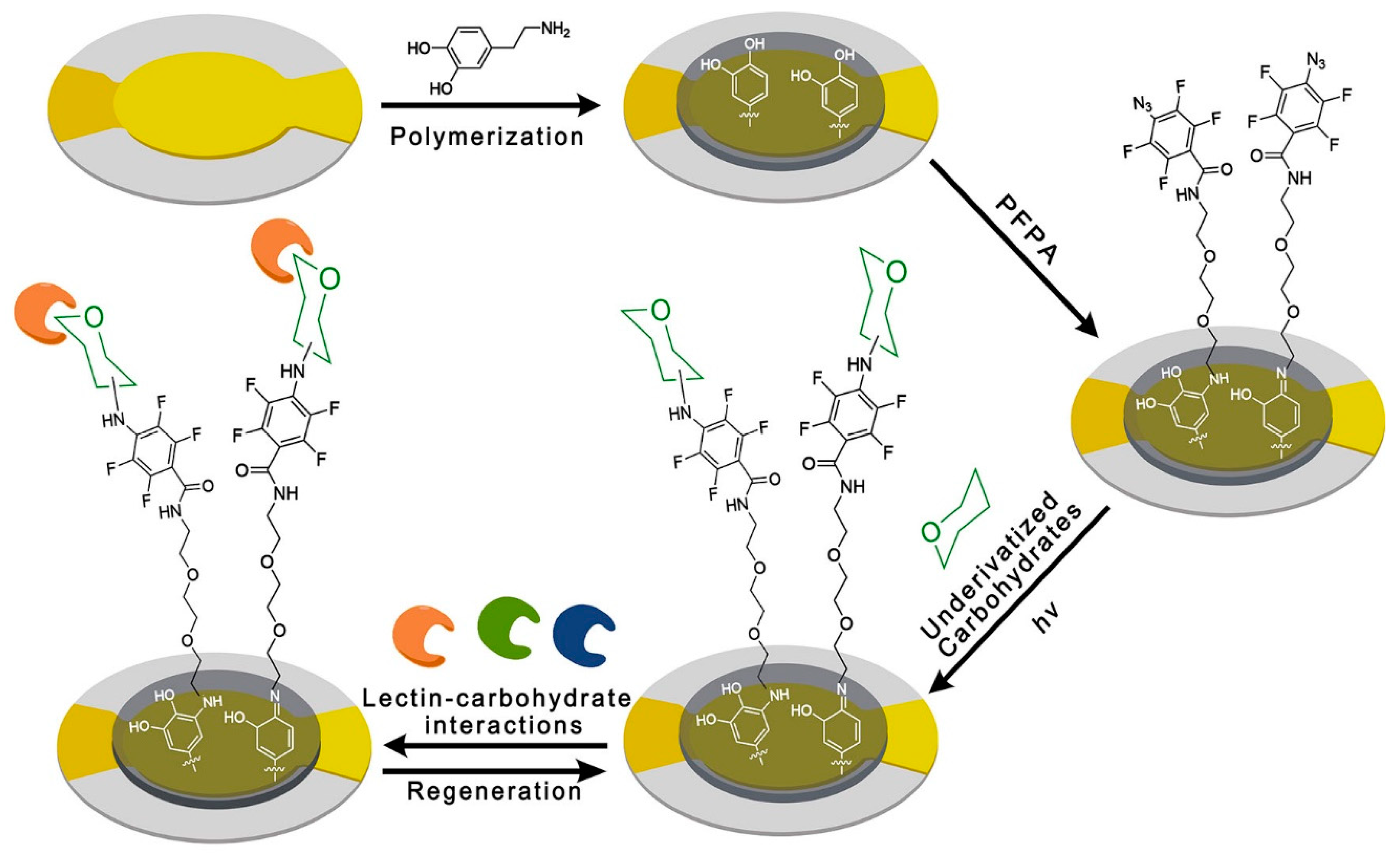 Polymers 11 01023 g002