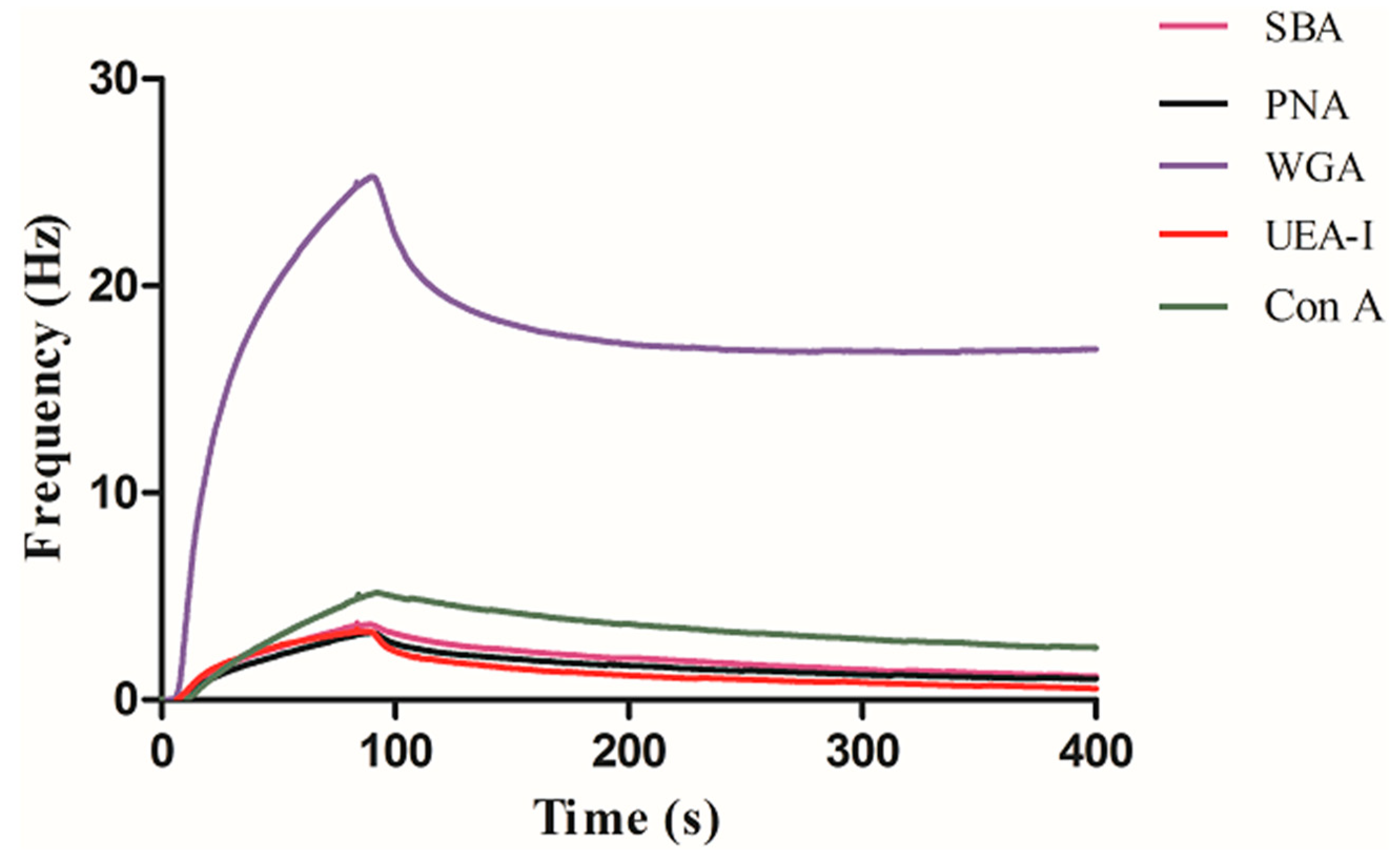 Polymers 11 01023 g005