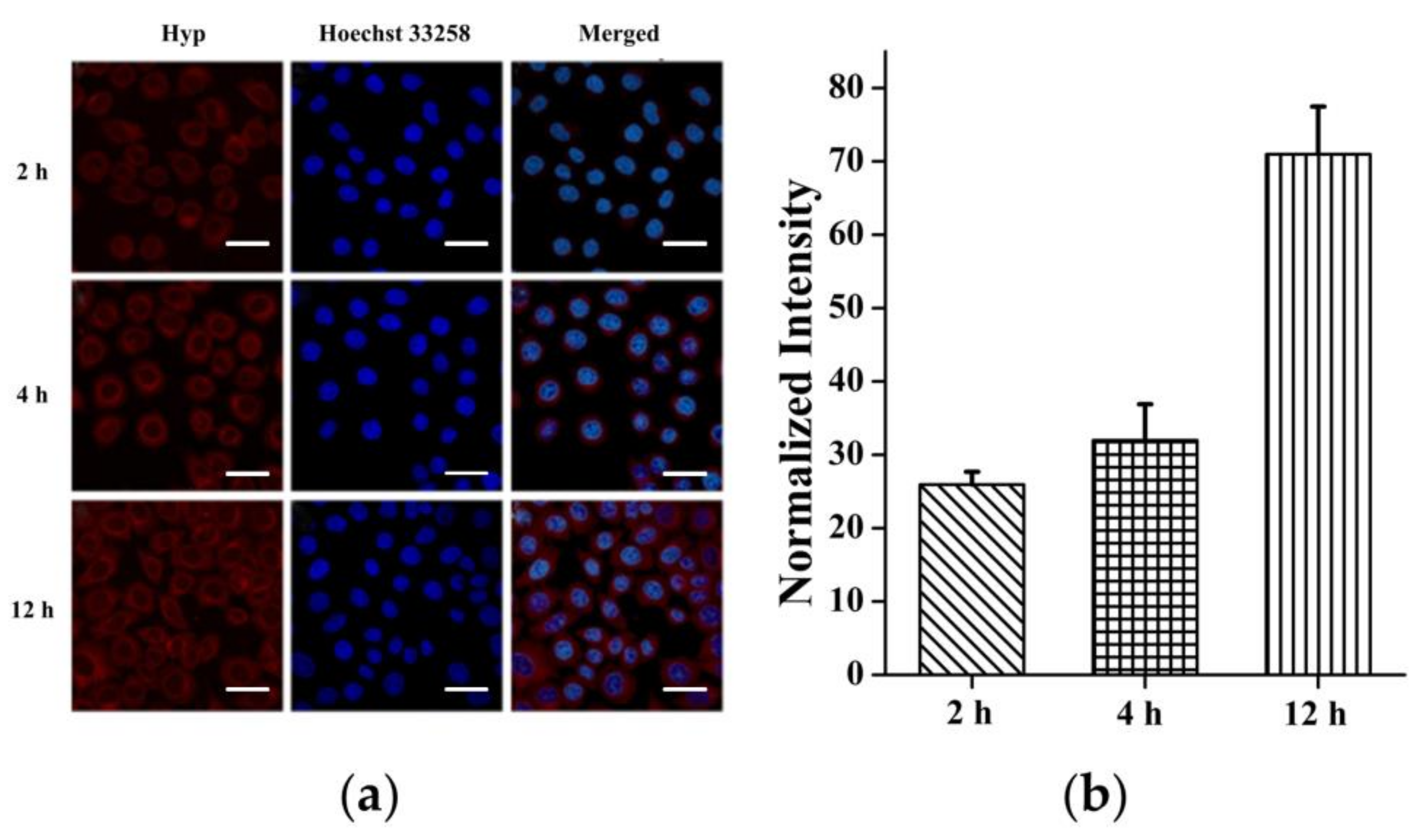 Polymers 11 01025 g003
