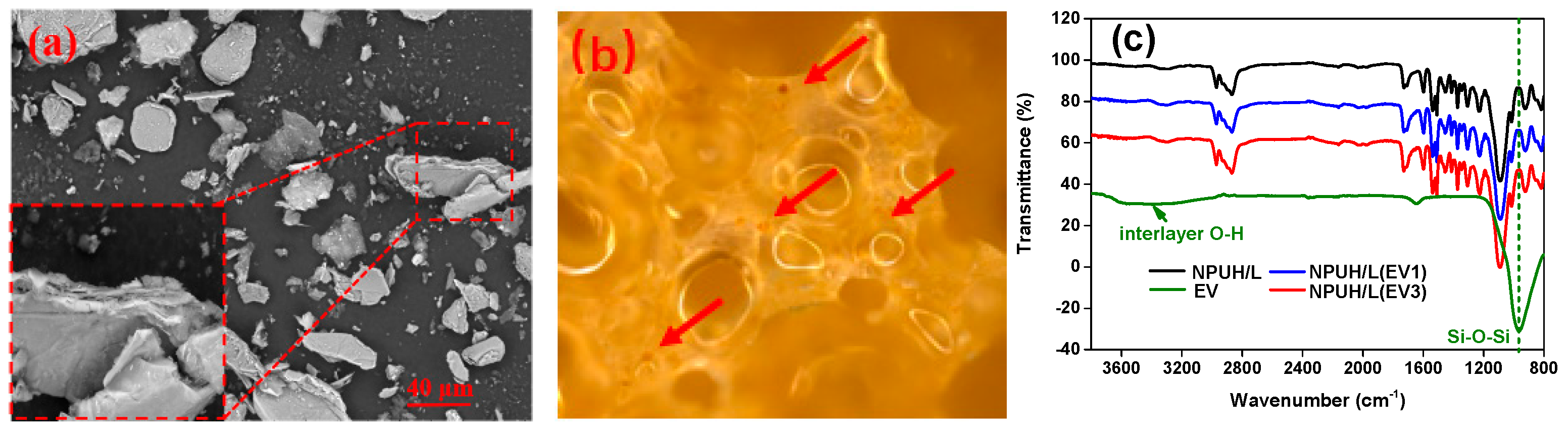Polymers 11 01028 g008