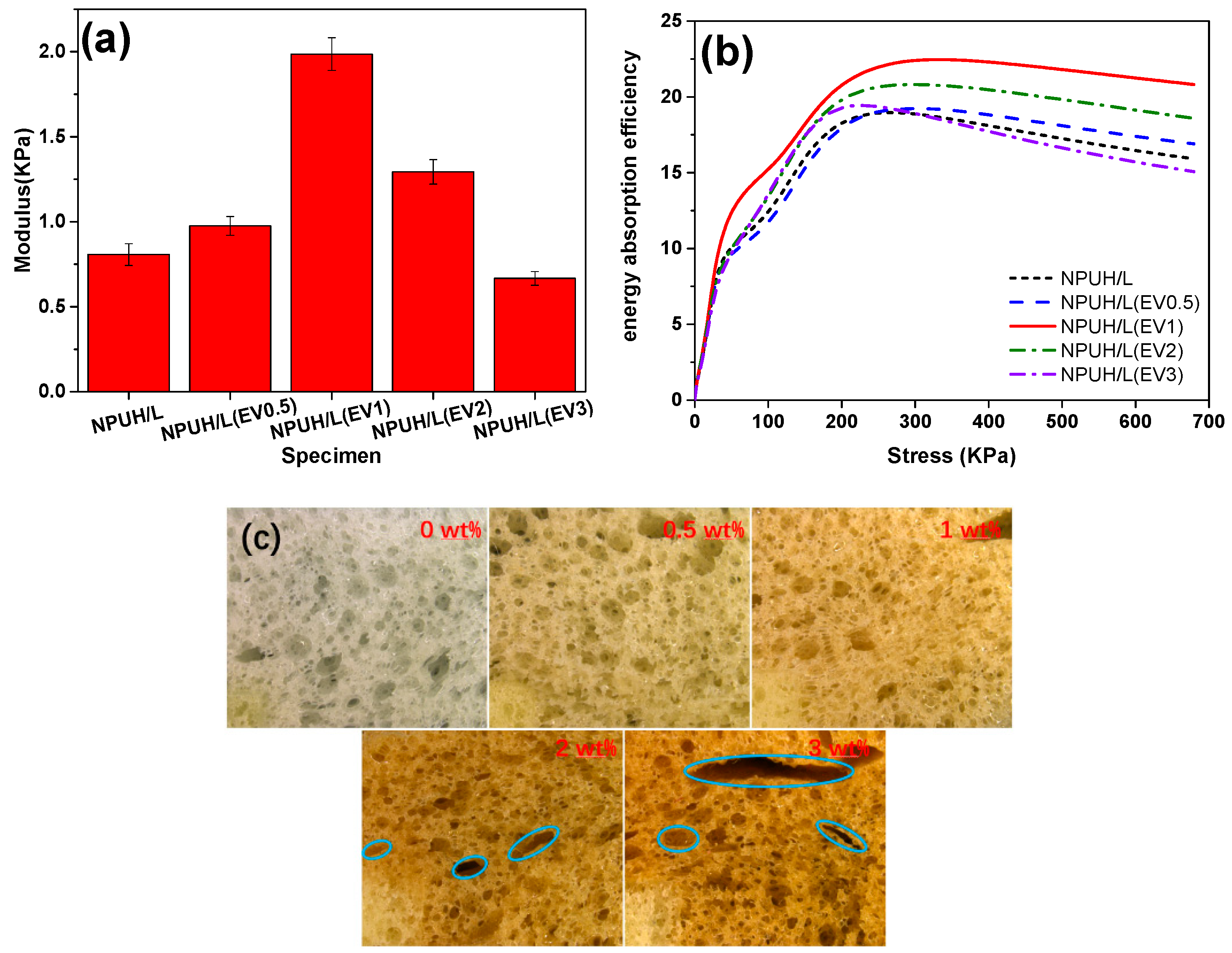 Polymers 11 01028 g009