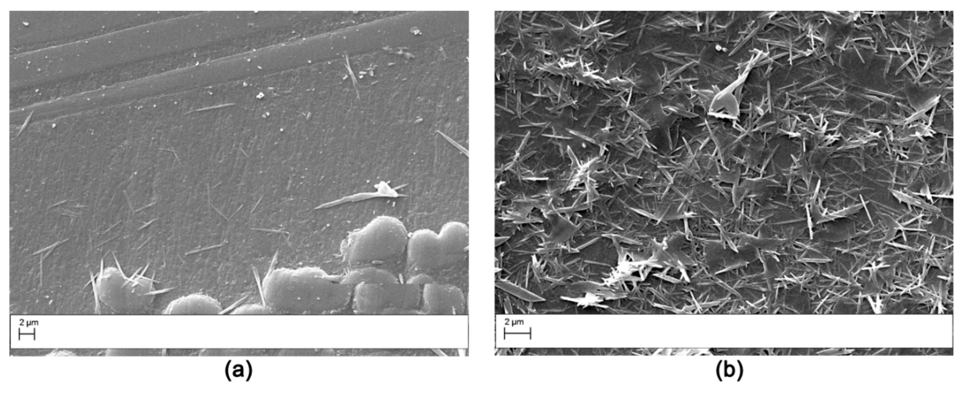 Polymers 11 01029 g003