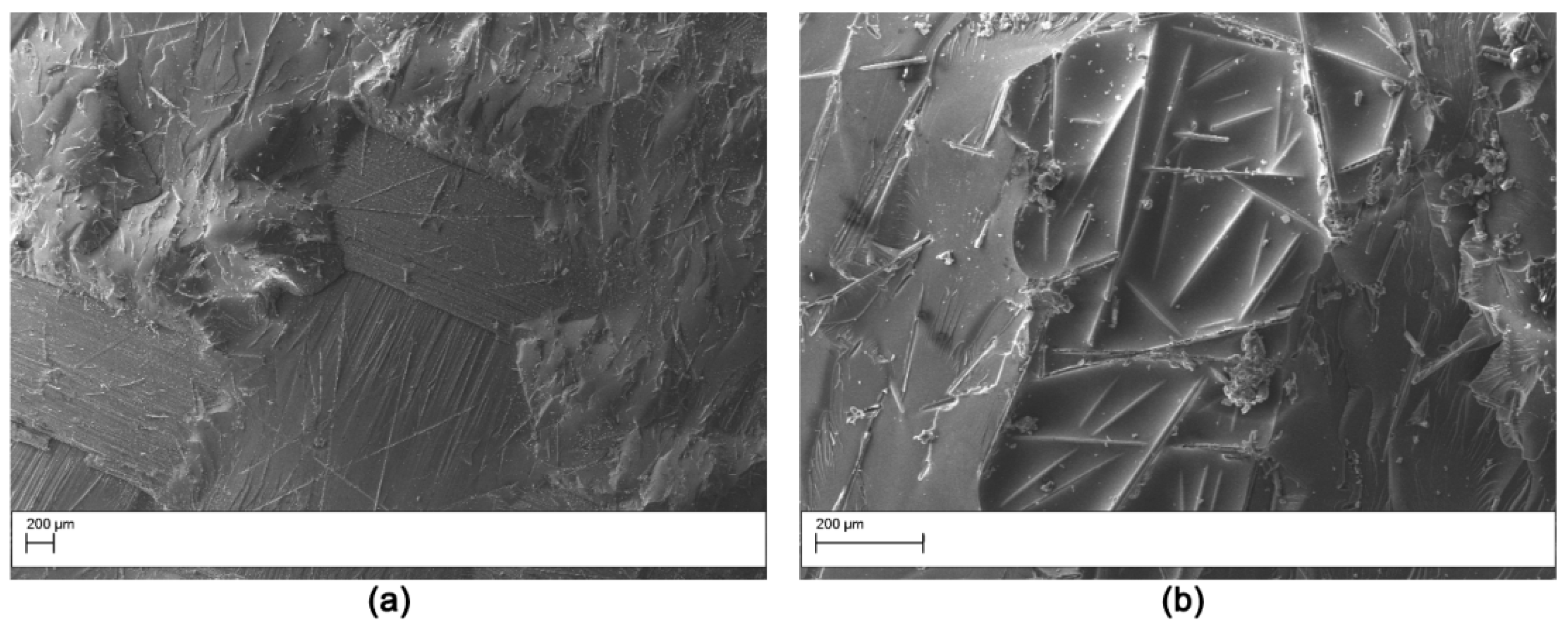 Polymers 11 01029 g013