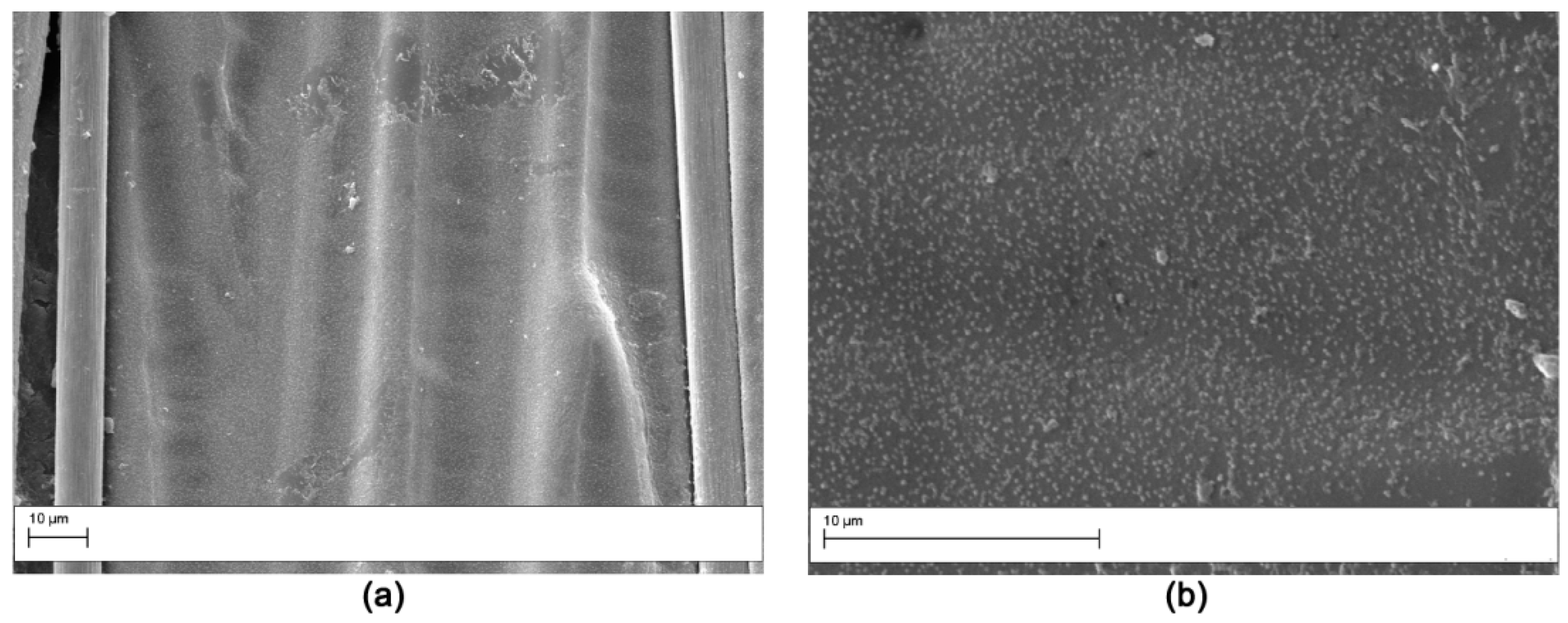 Polymers 11 01029 g015