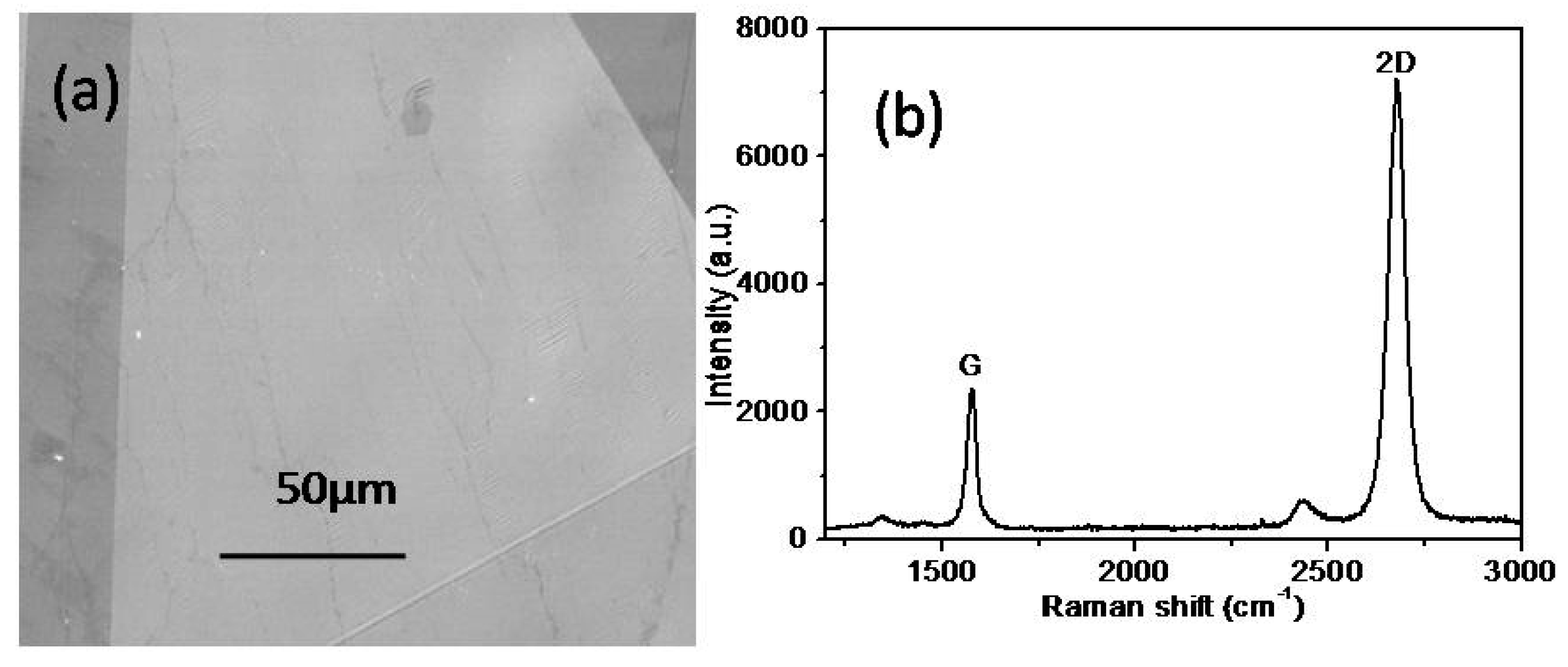 Polymers 11 01037 g005