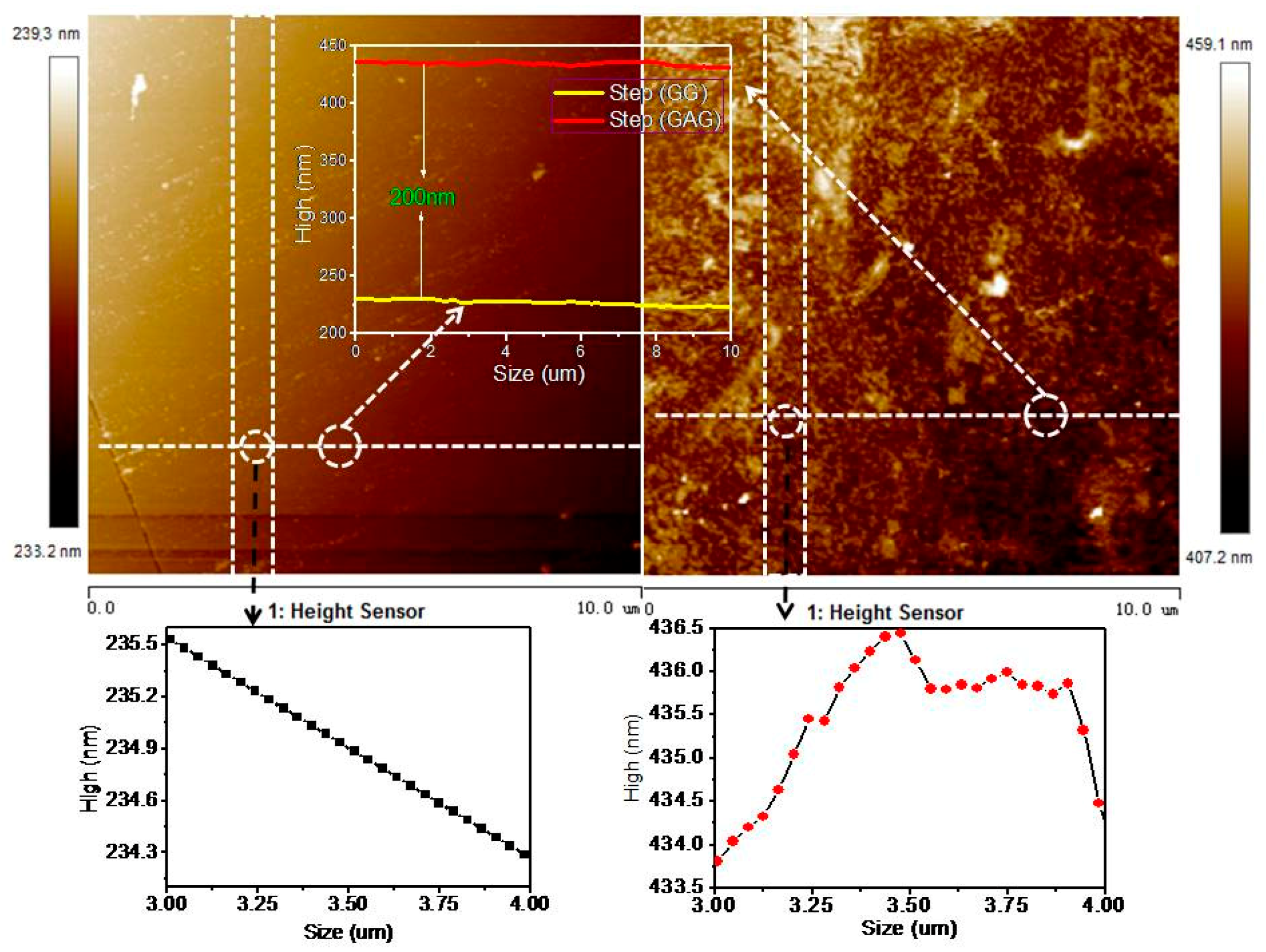 Polymers 11 01037 g008