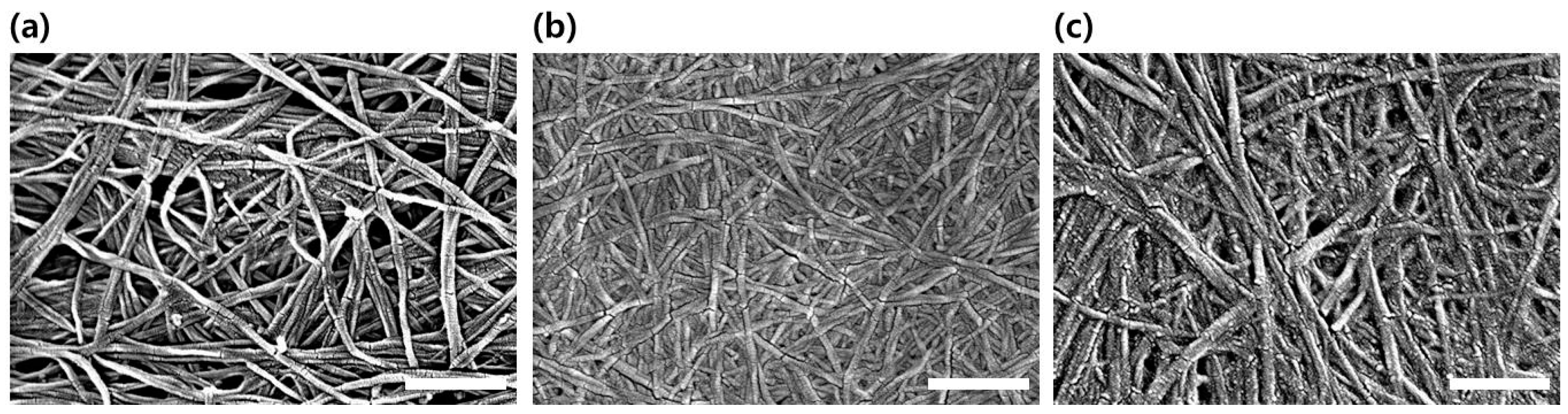 Polymers 11 01044 g003 Polymers 11 01044 g003