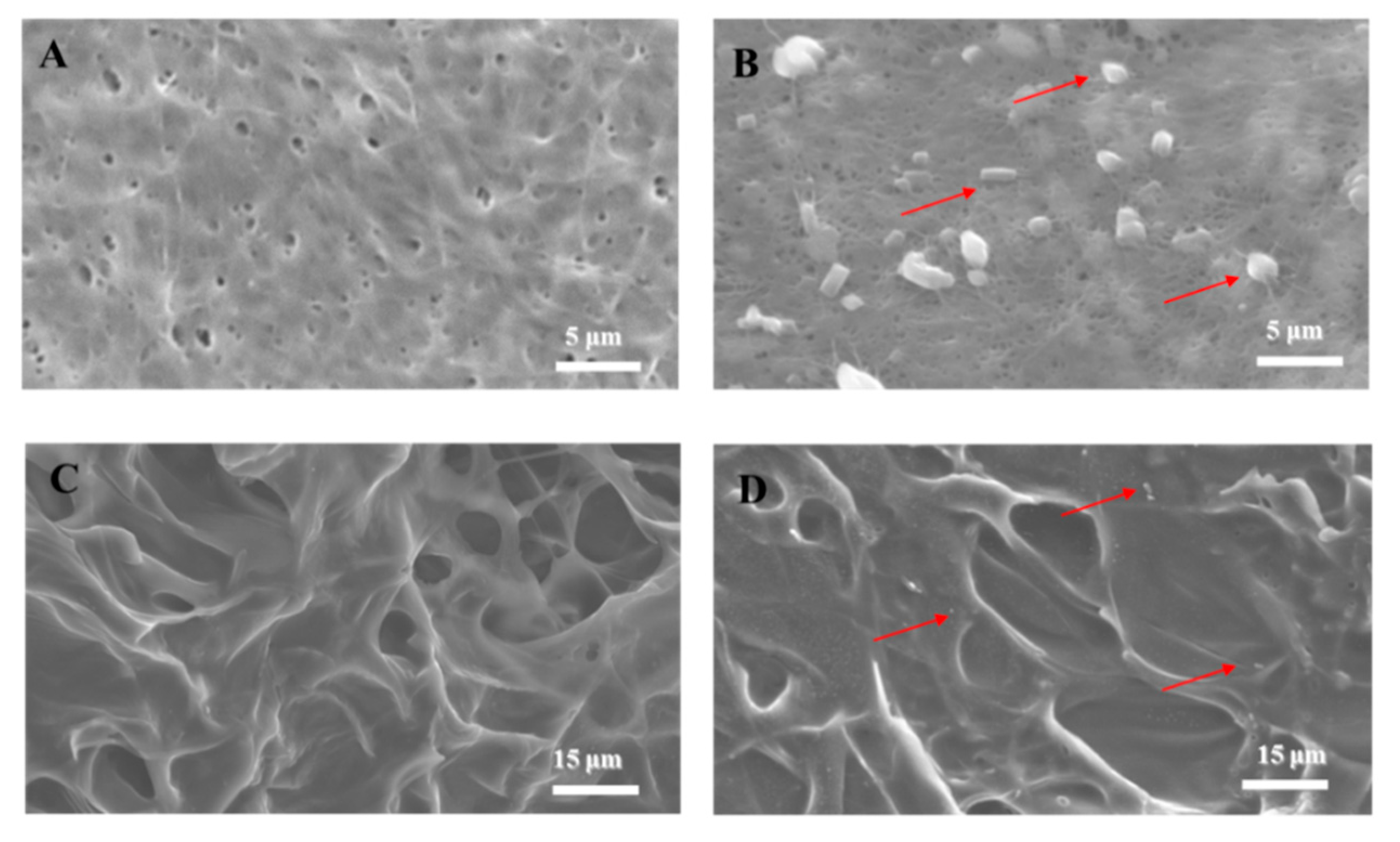 Polymers 11 01048 g002