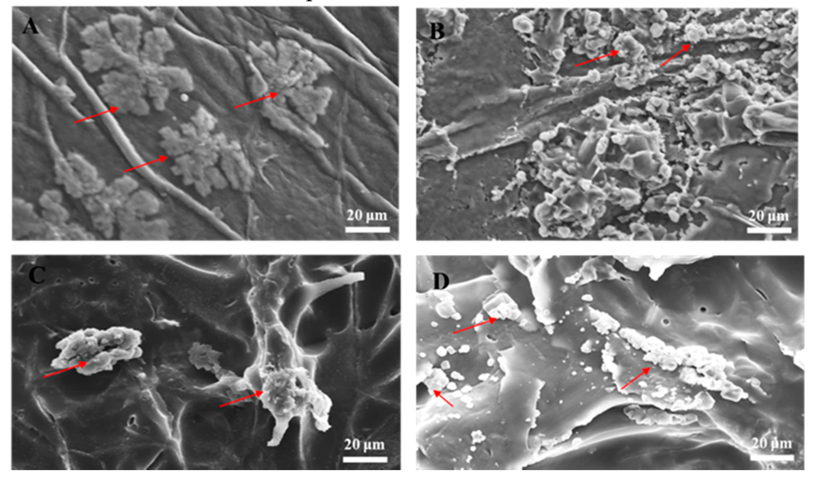 Polymers 11 01048 g003