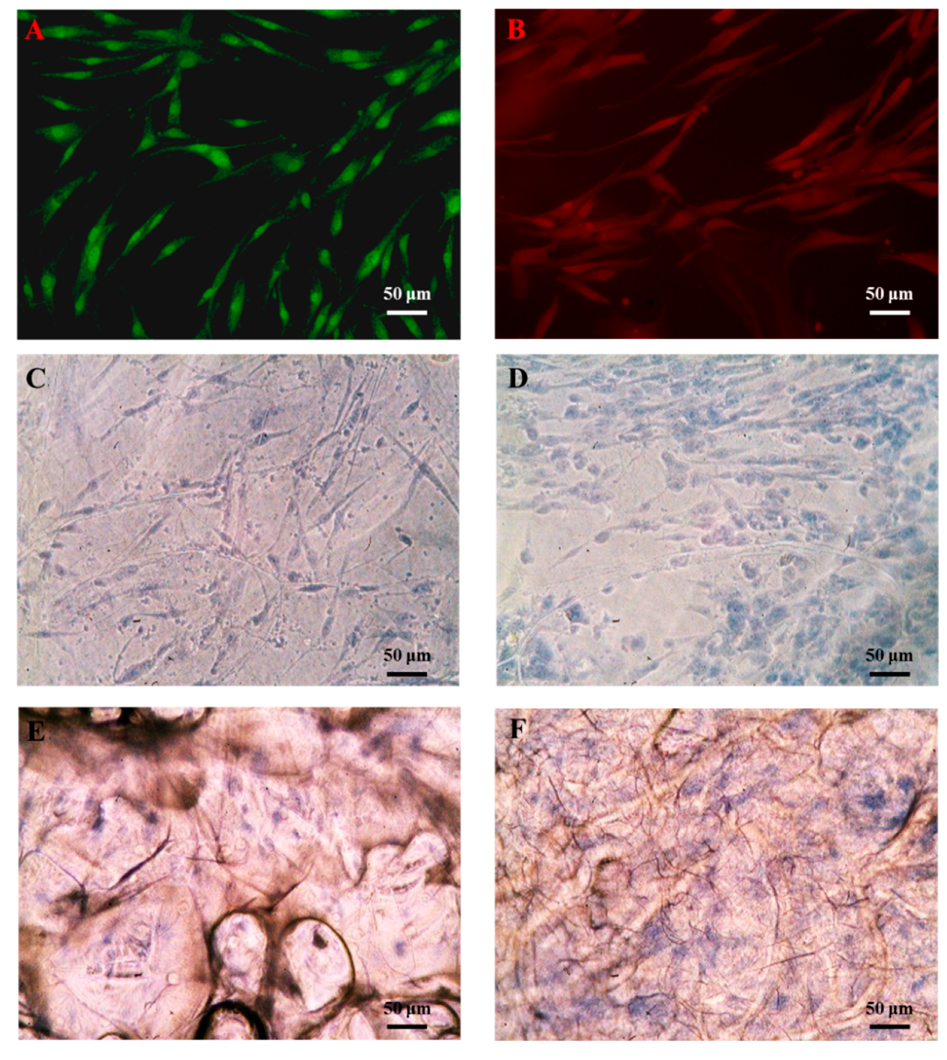 Polymers 11 01048 g005