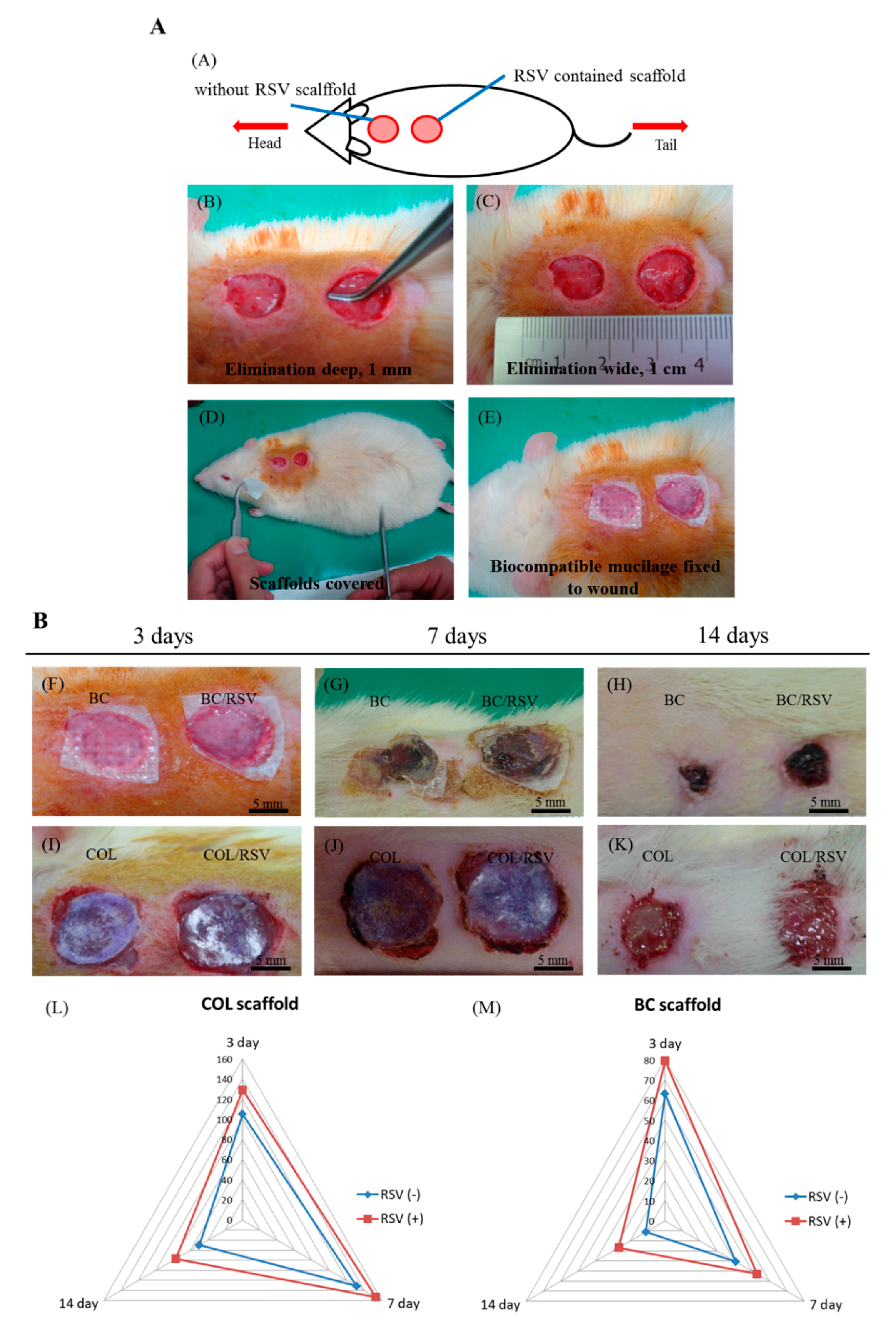 Polymers 11 01048 g008