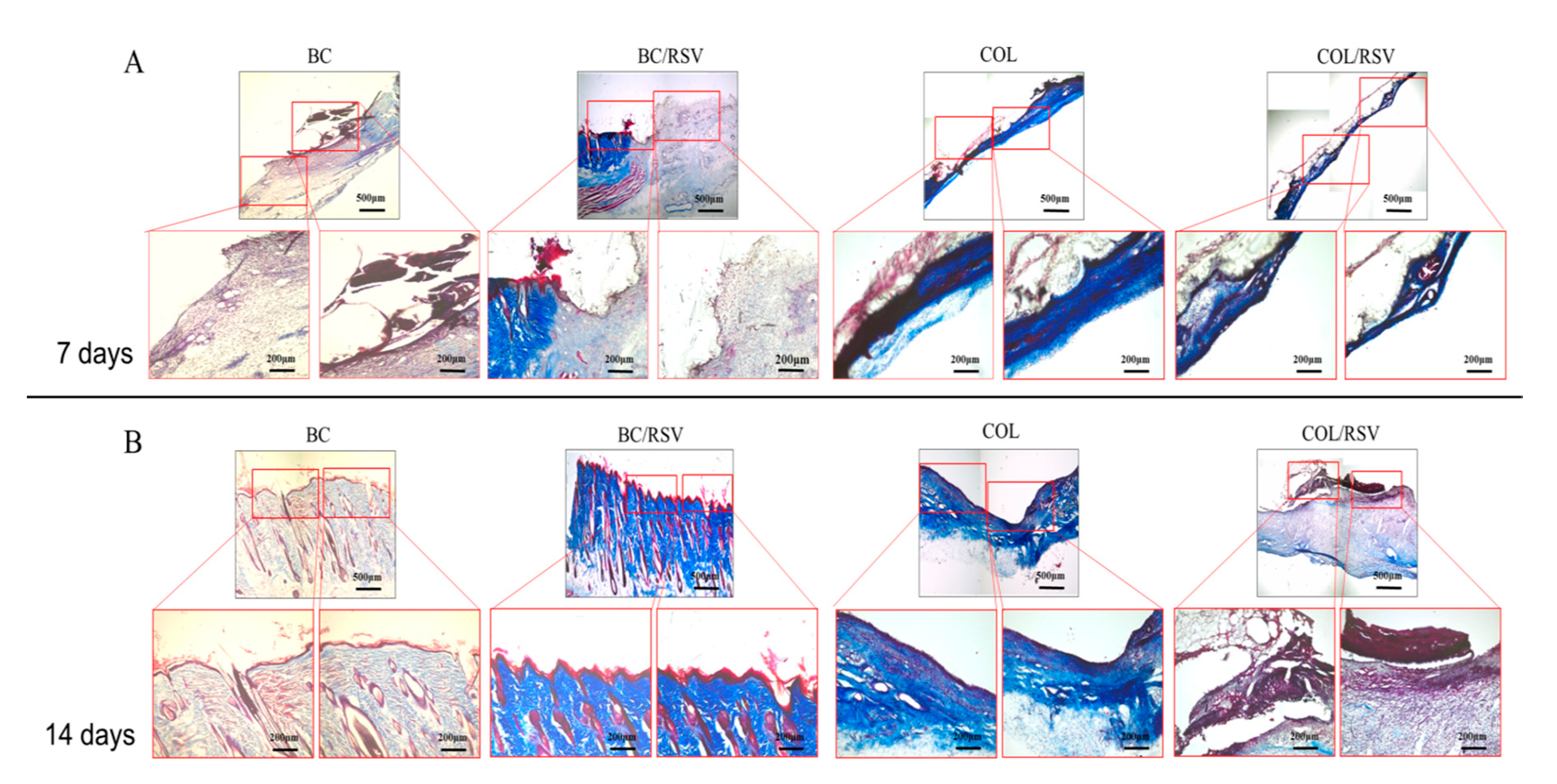 Polymers 11 01048 g009