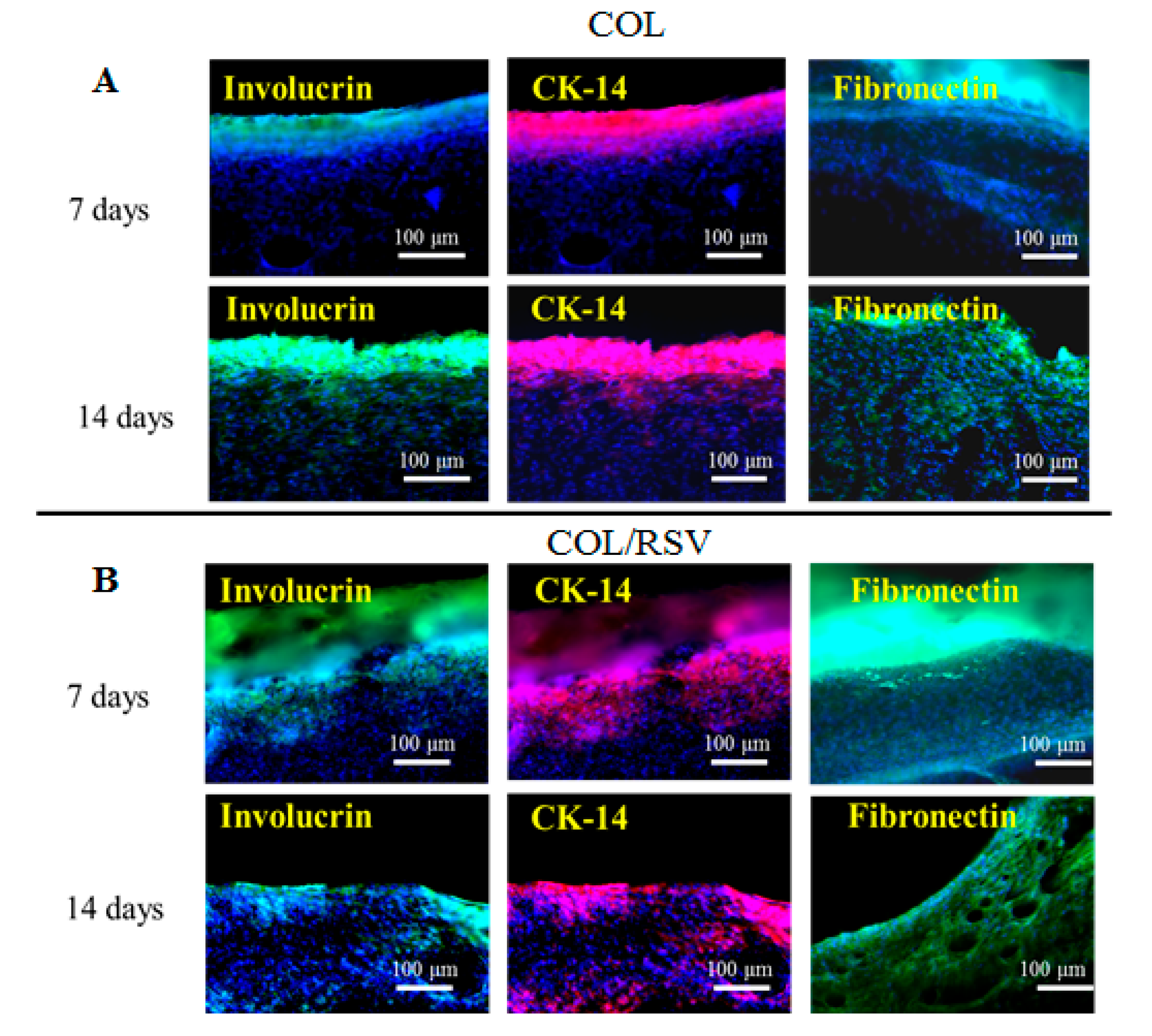 Polymers 11 01048 g011