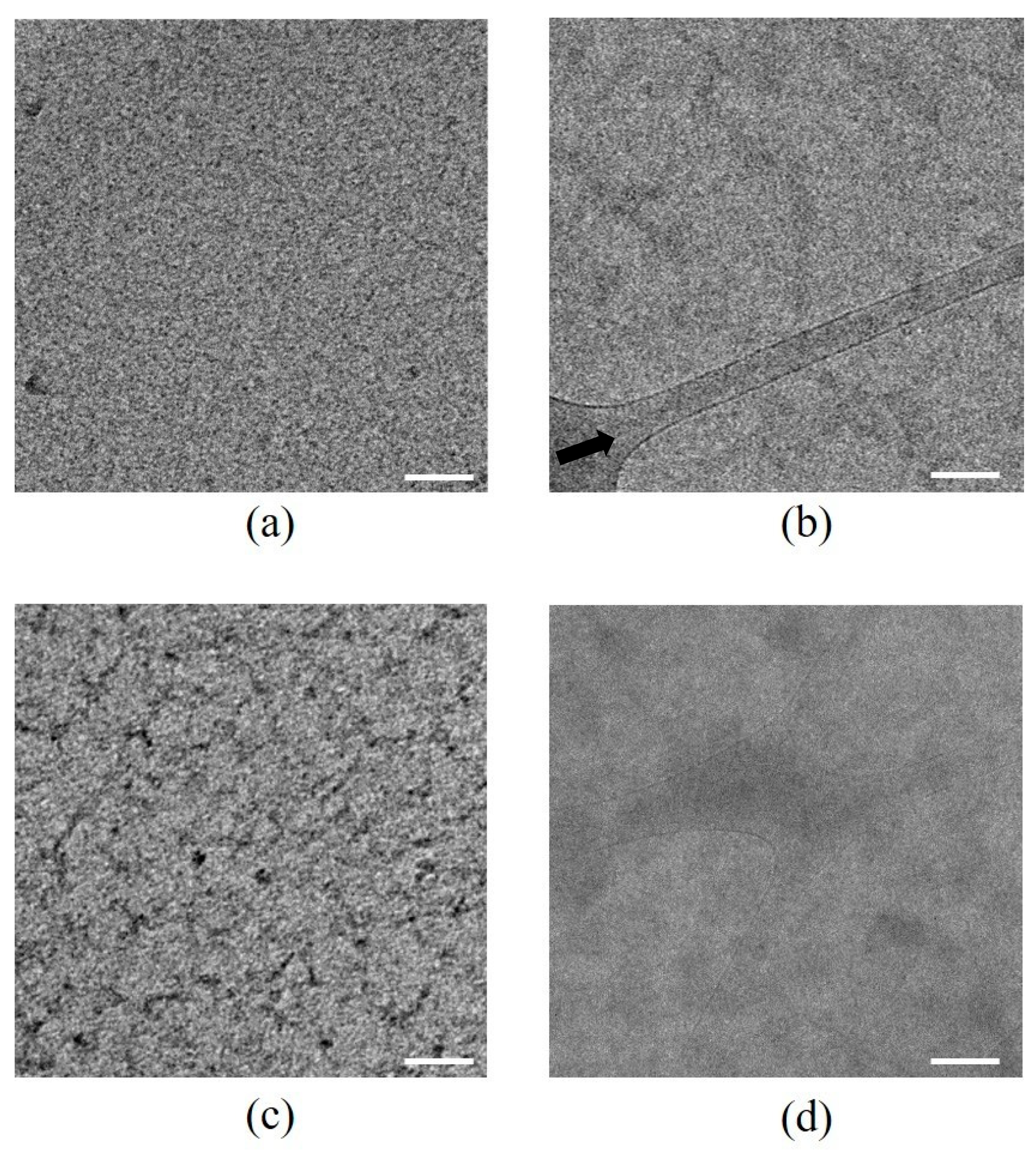 Polymers 11 01053 g004