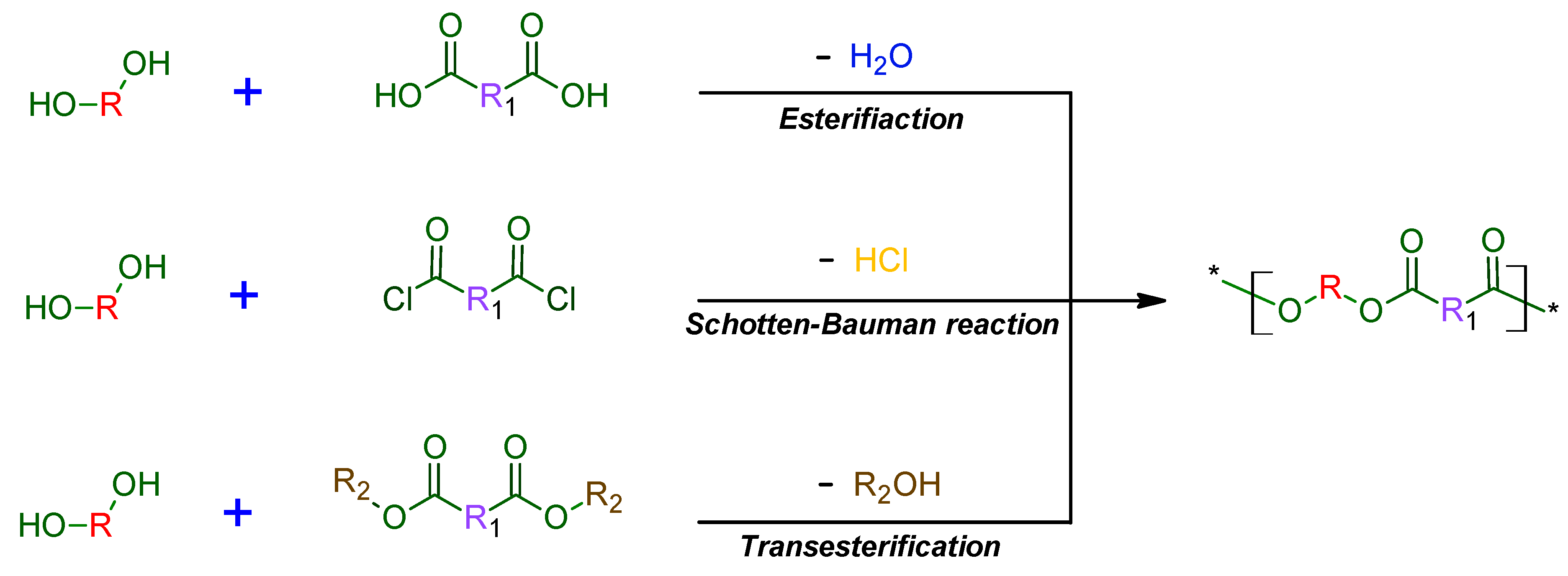 Polymers 11 01061 g002