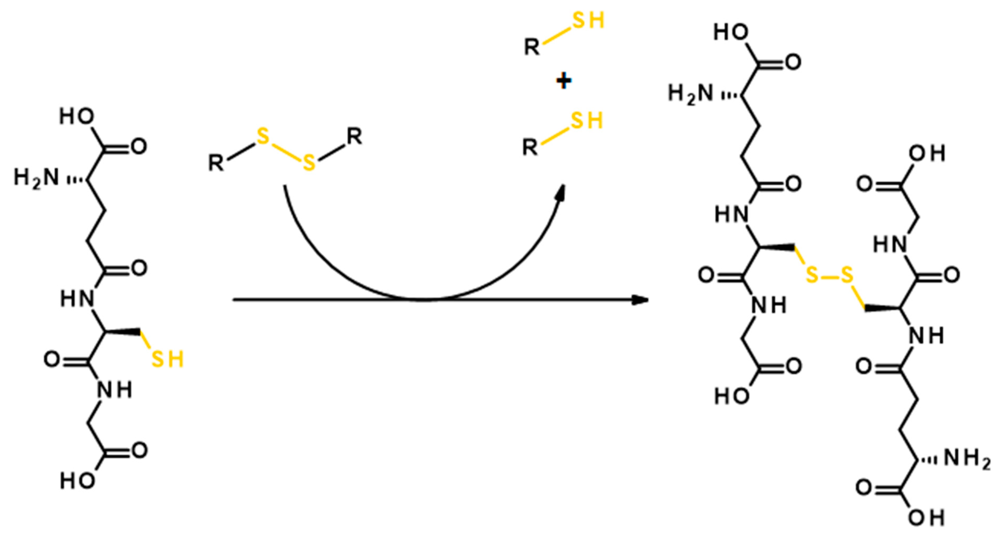 Polymers 11 01061 g008