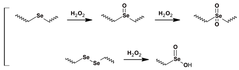 Polymers 11 01061 i002 Polymers 11 01061 i002