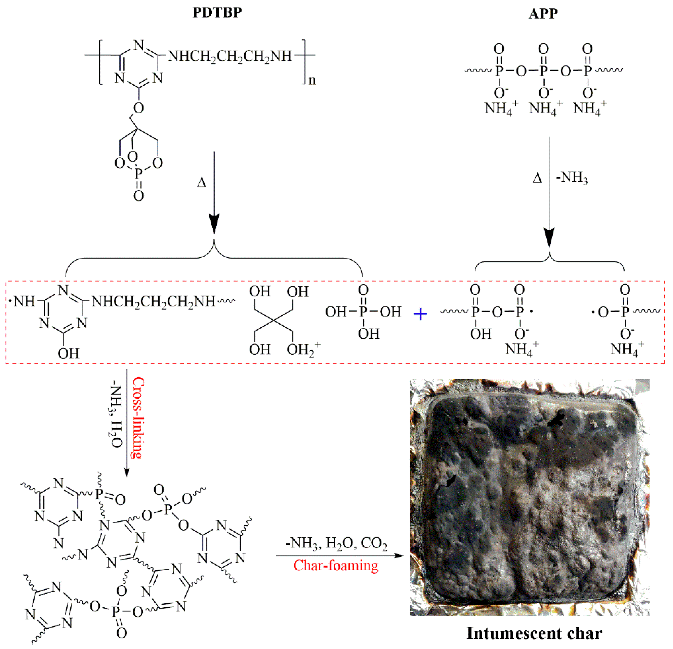 Polymers 11 01062 g013