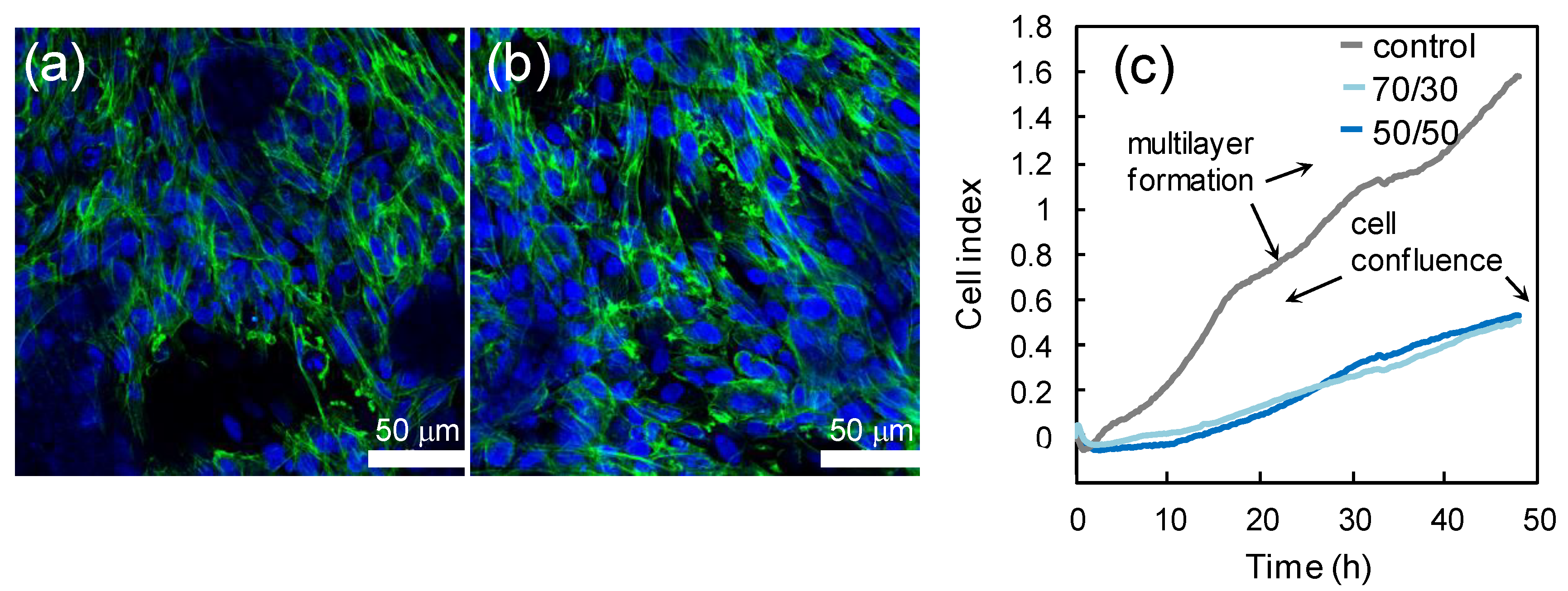 Polymers 11 01069 g005