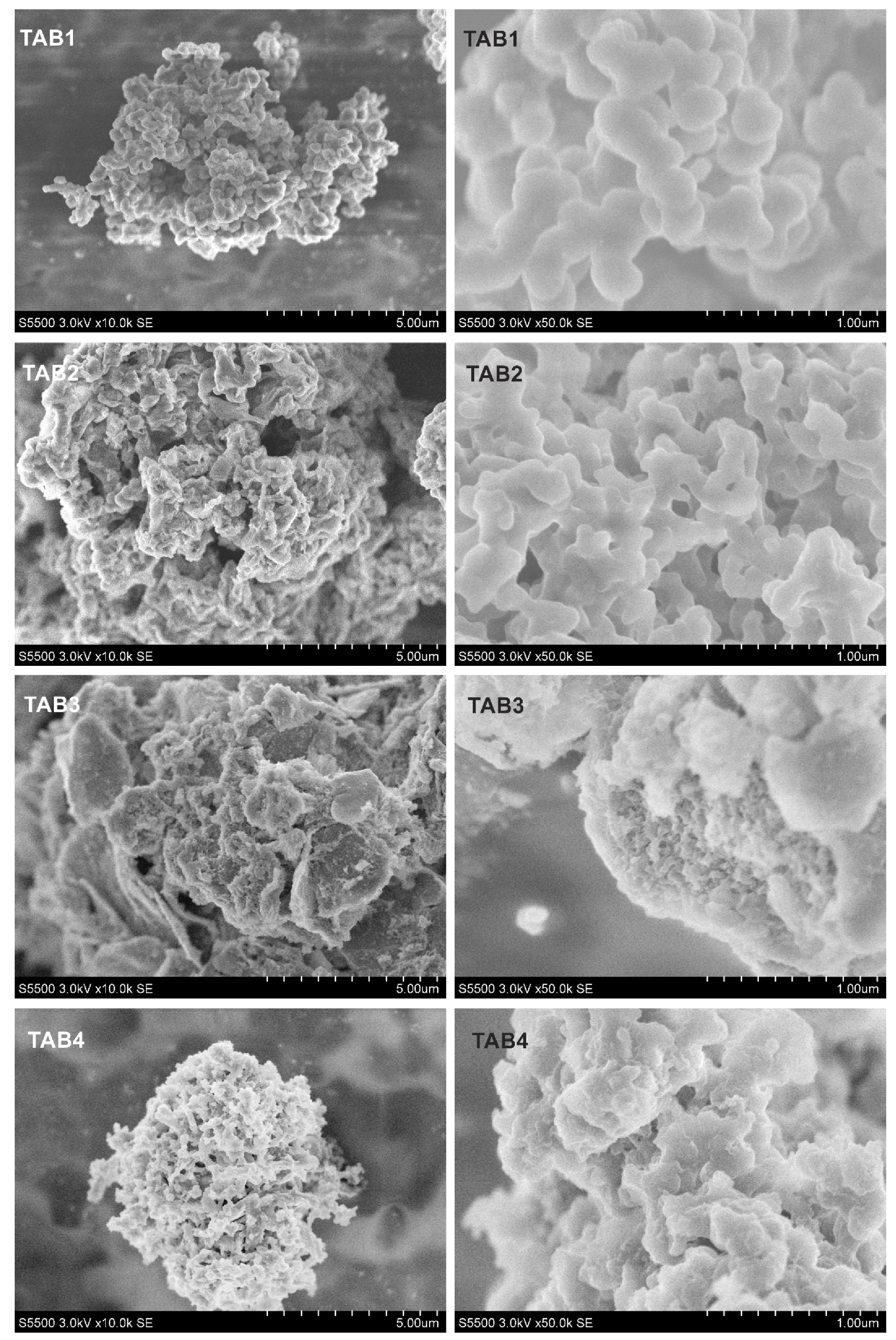 Polymers 11 01070 g001