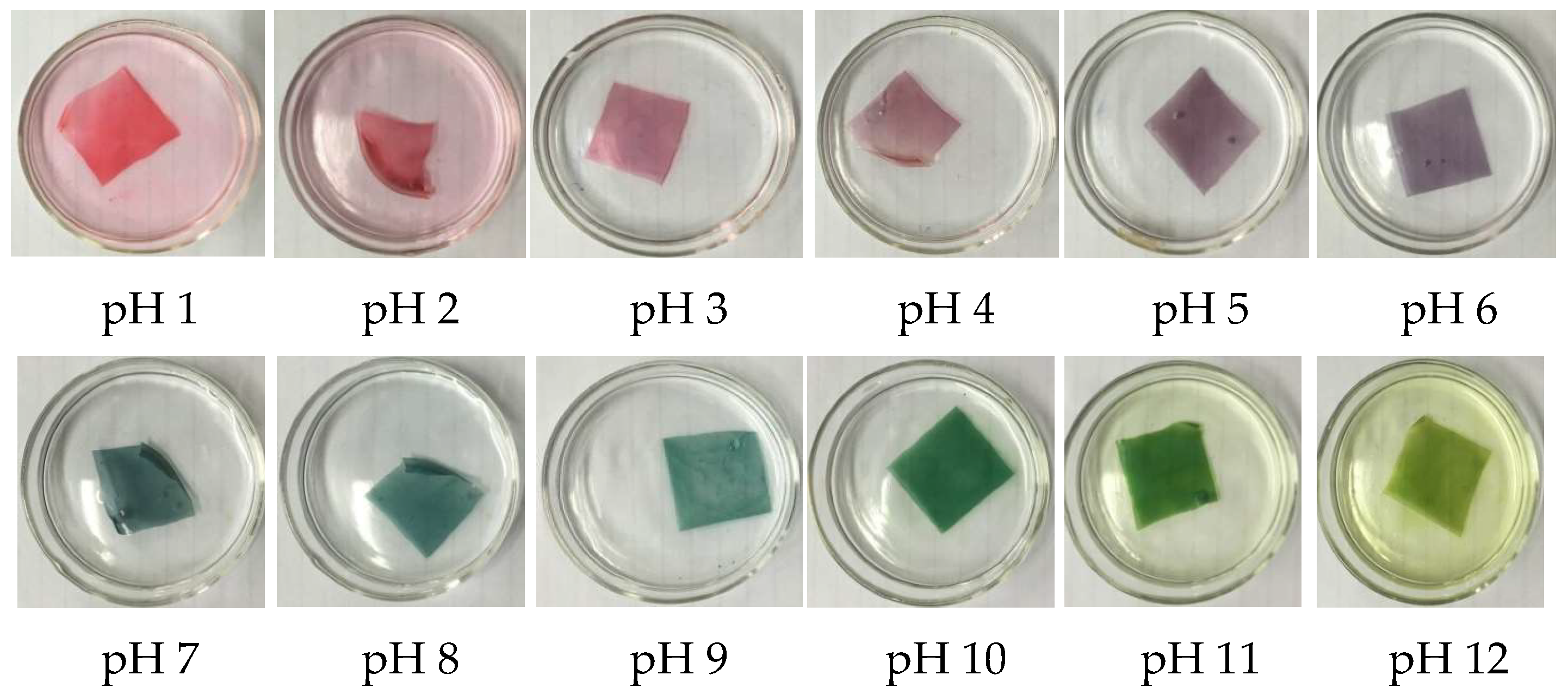 Polymers 11 01088 g003 Polymers 11 01088 g003
