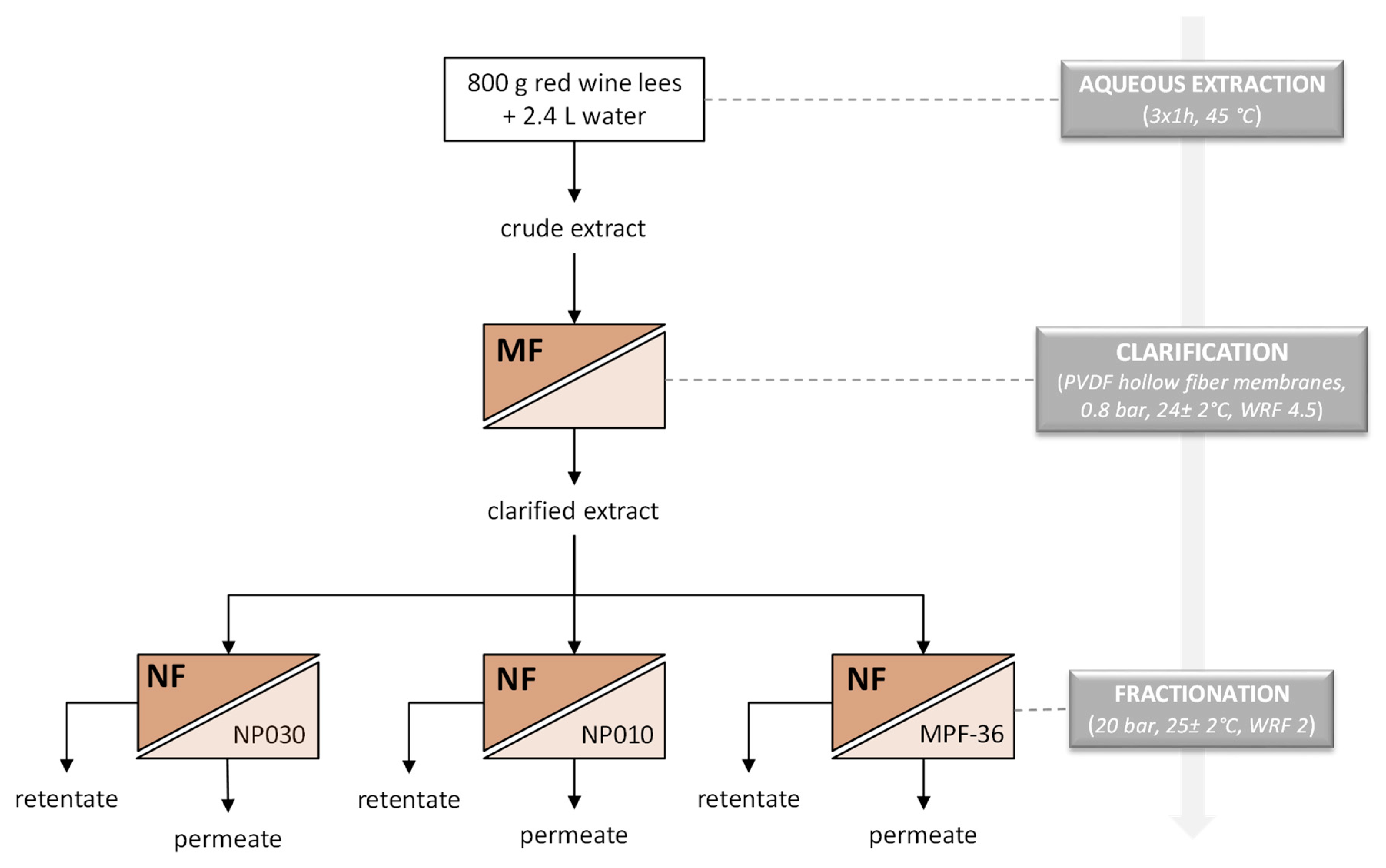Polymers 11 01089 g001