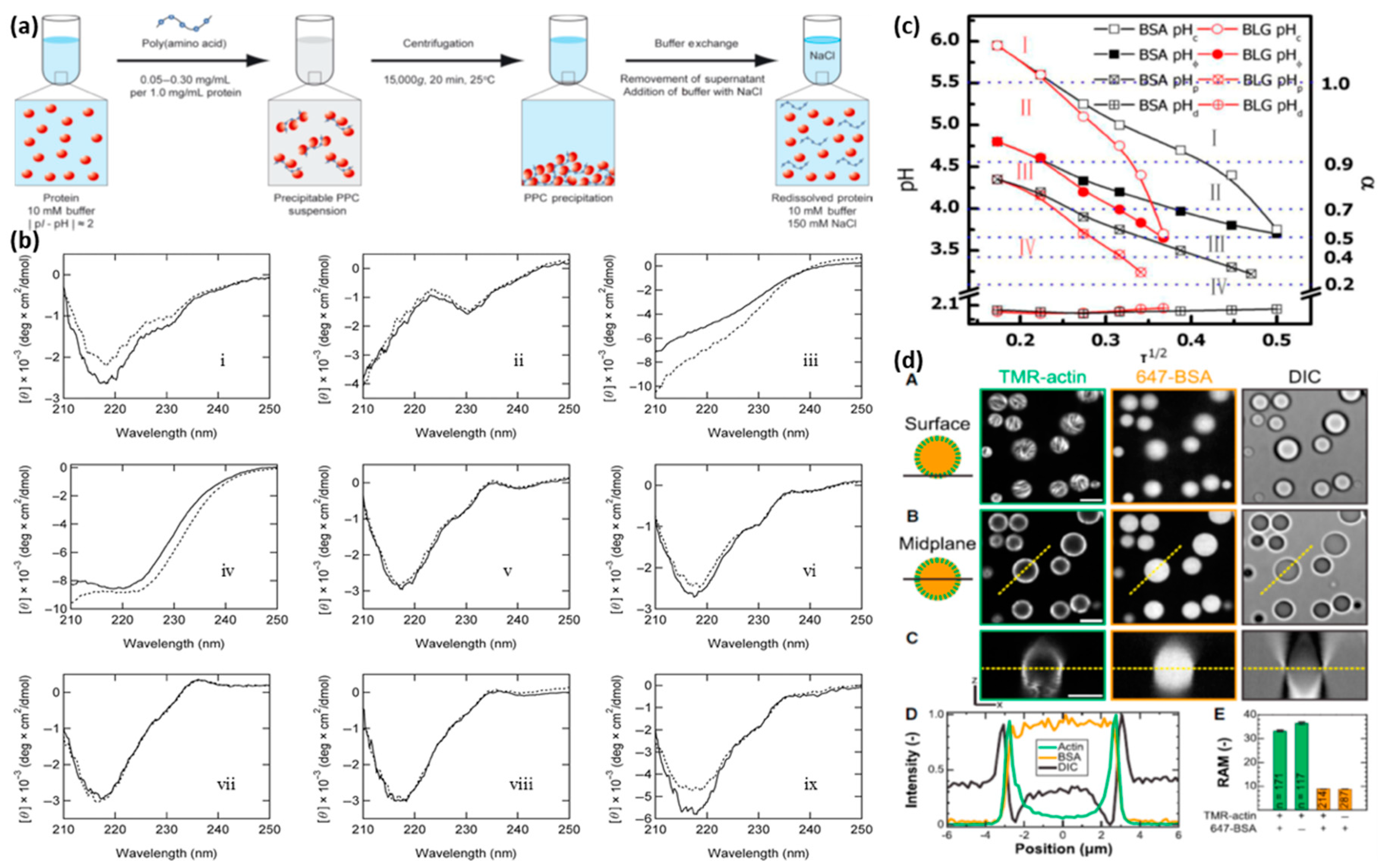 Polymers 11 01097 g006