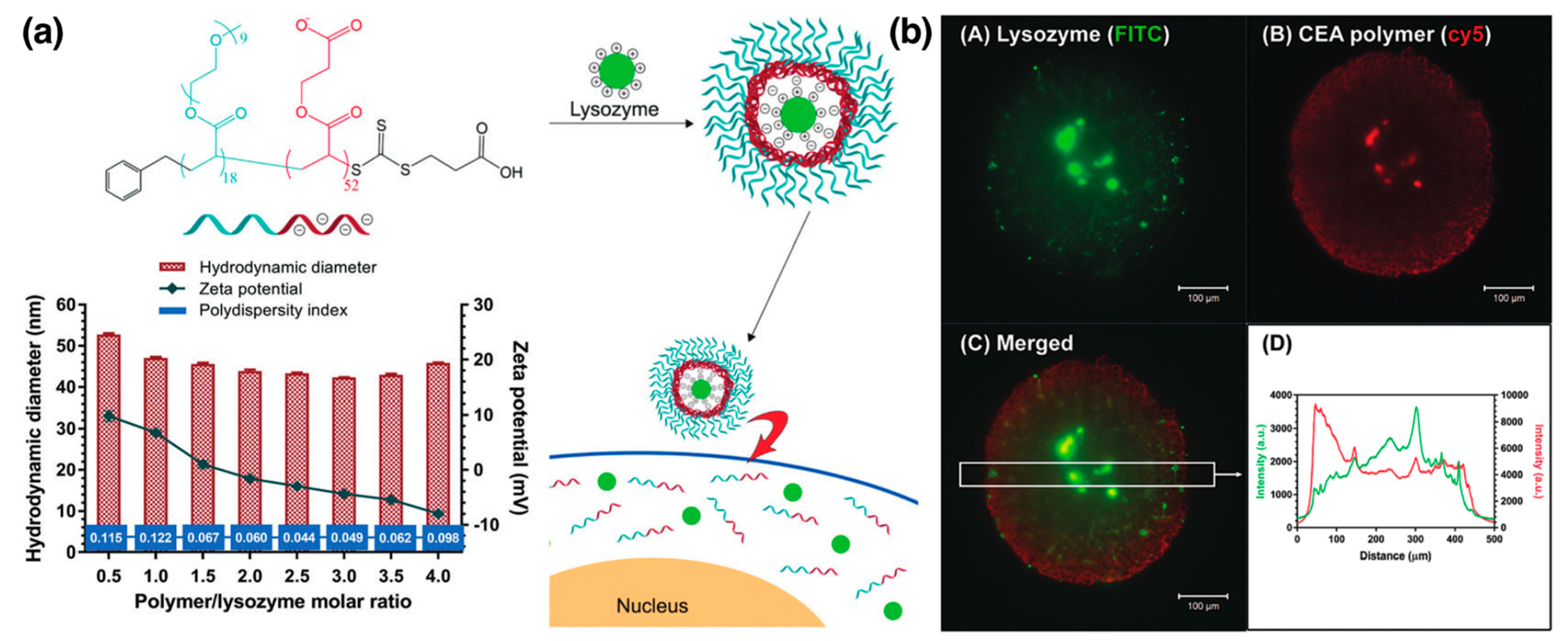 Polymers 11 01097 g010