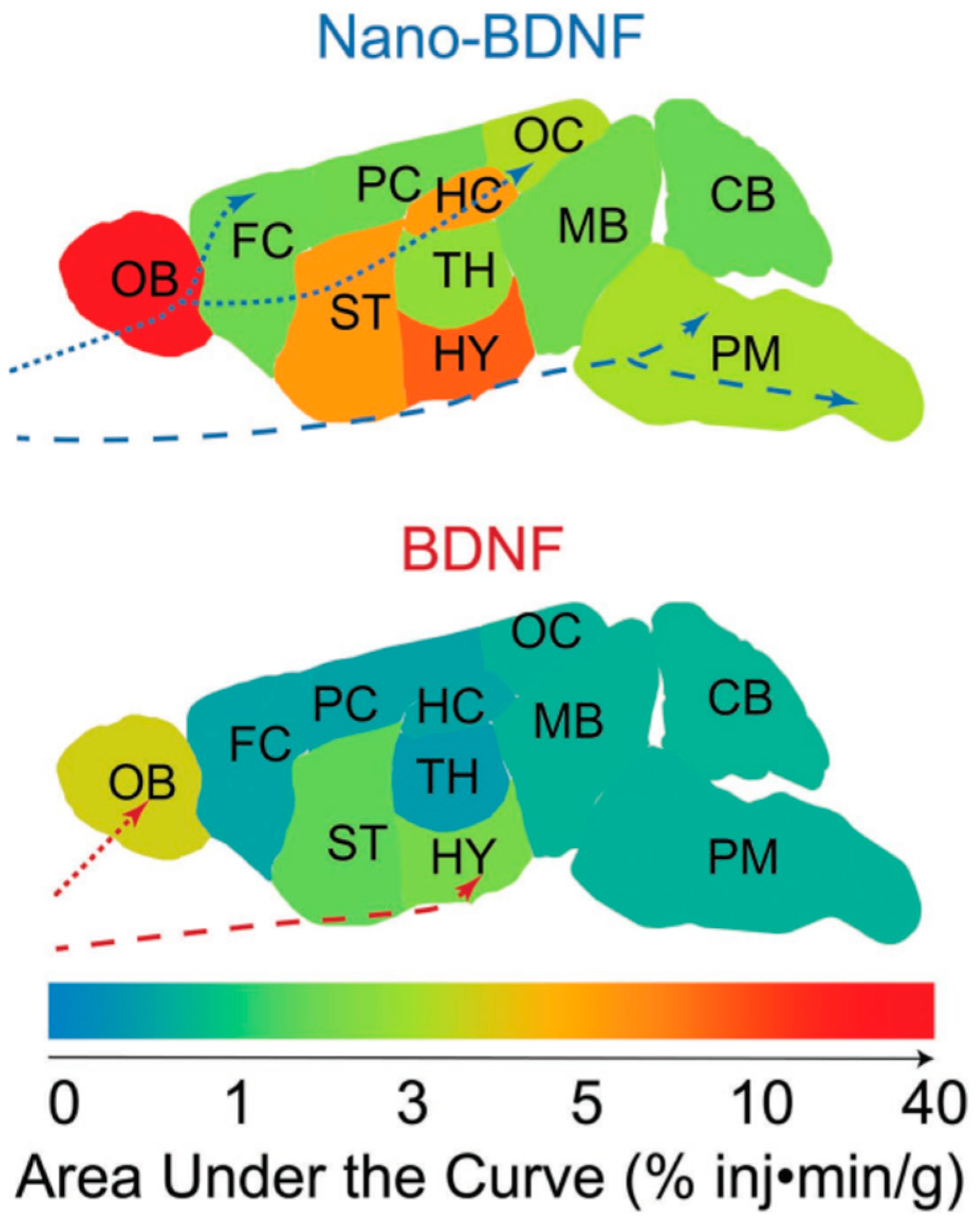 Polymers 11 01097 g011