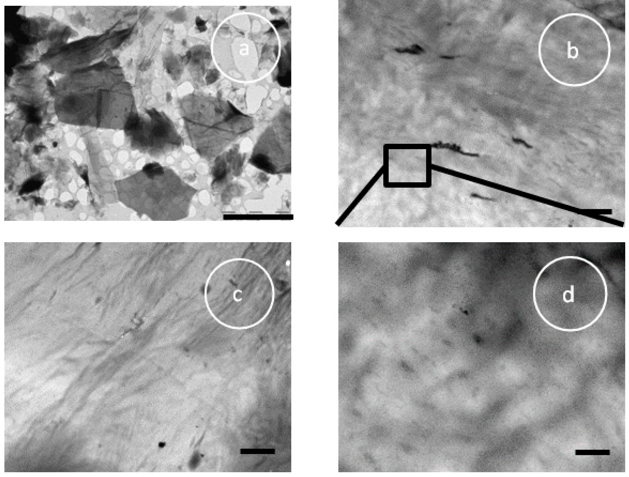 Polymers 11 01099 g002