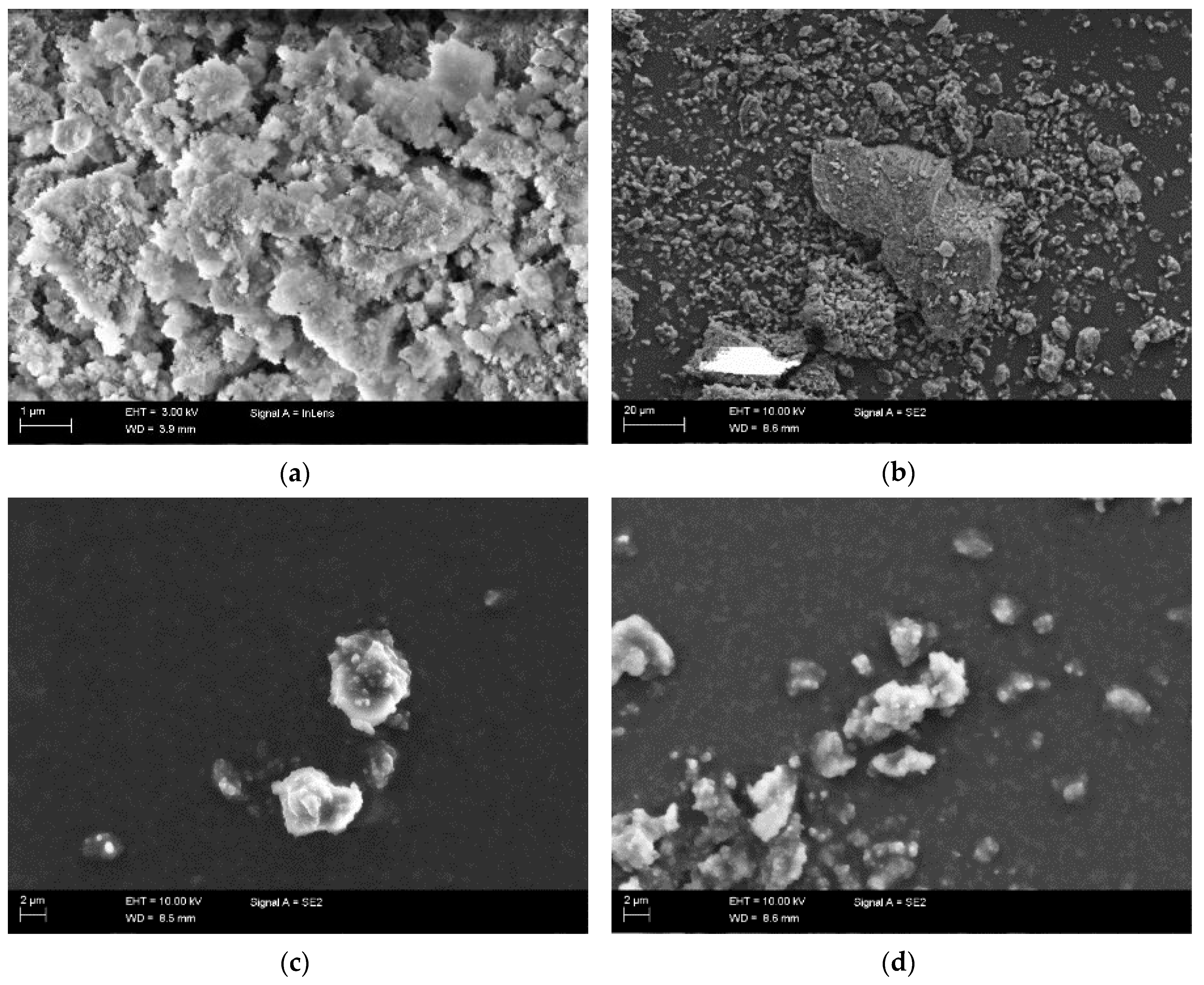 Polymers 11 01104 g005