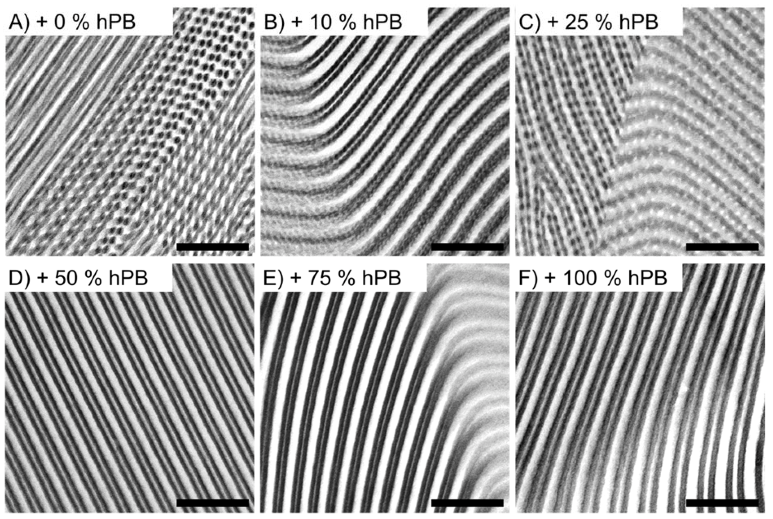 Polymers 11 01107 g001