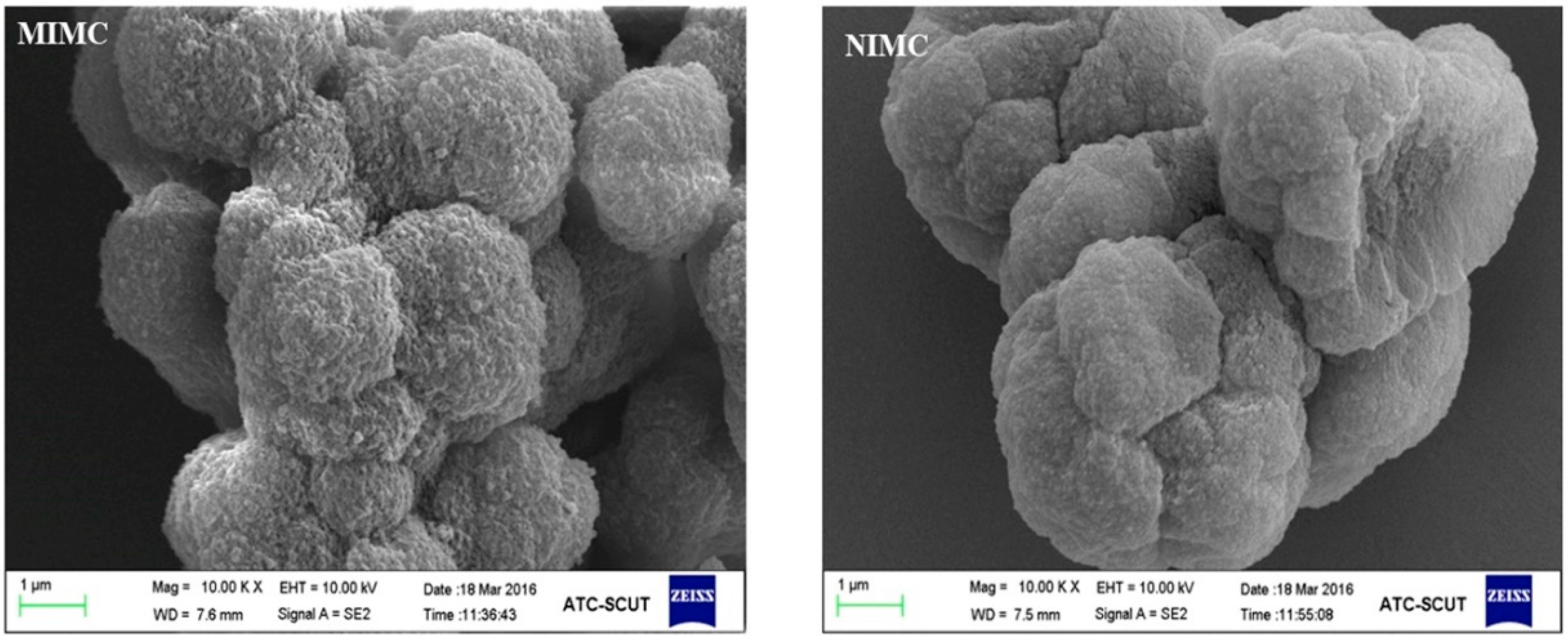 Polymers 11 01109 g003