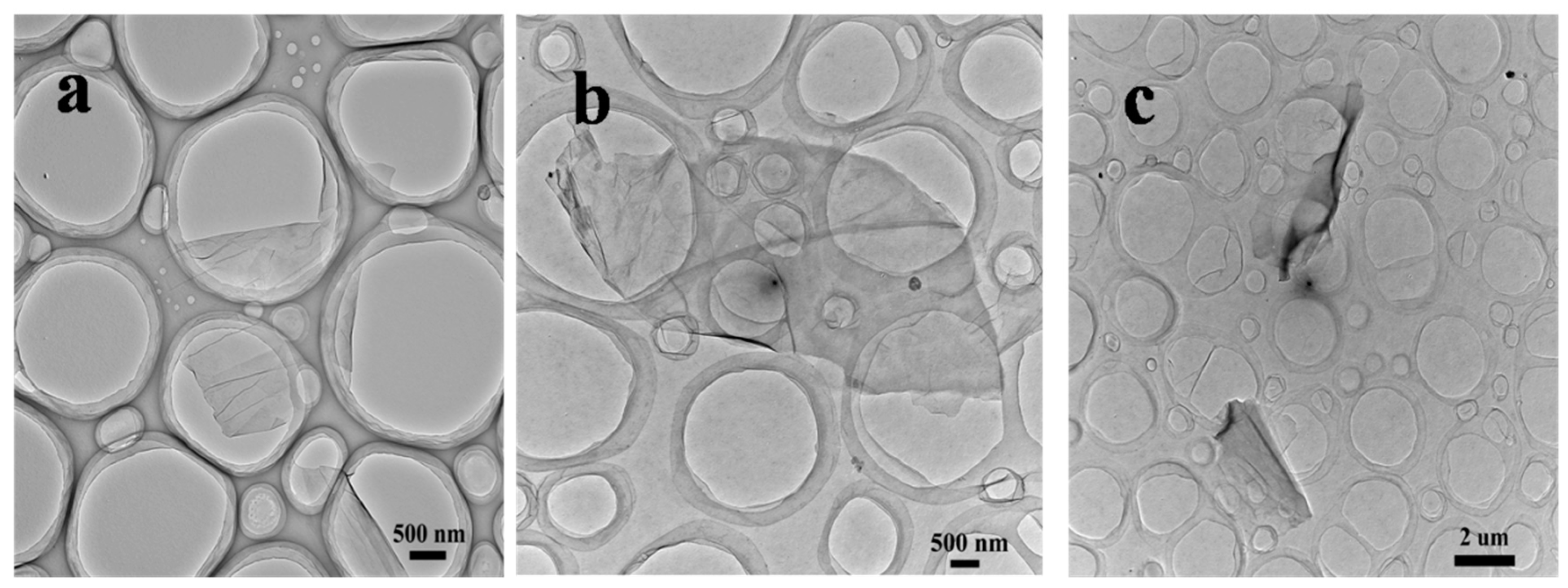 Polymers 11 01113 g003