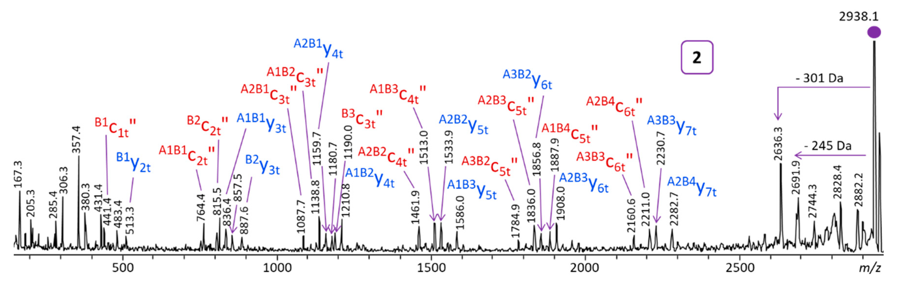 Polymers 11 01118 g004